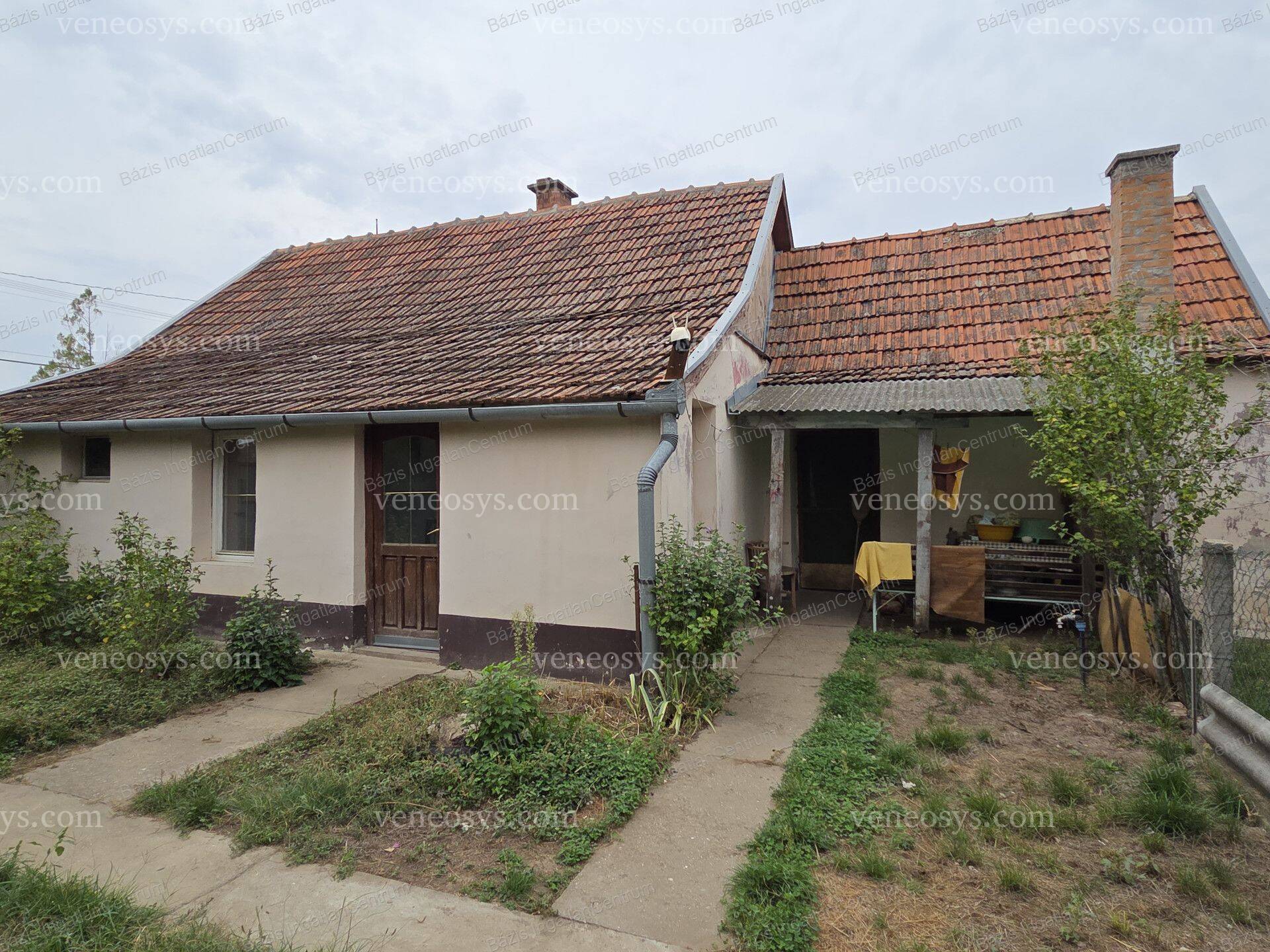 Kép 3