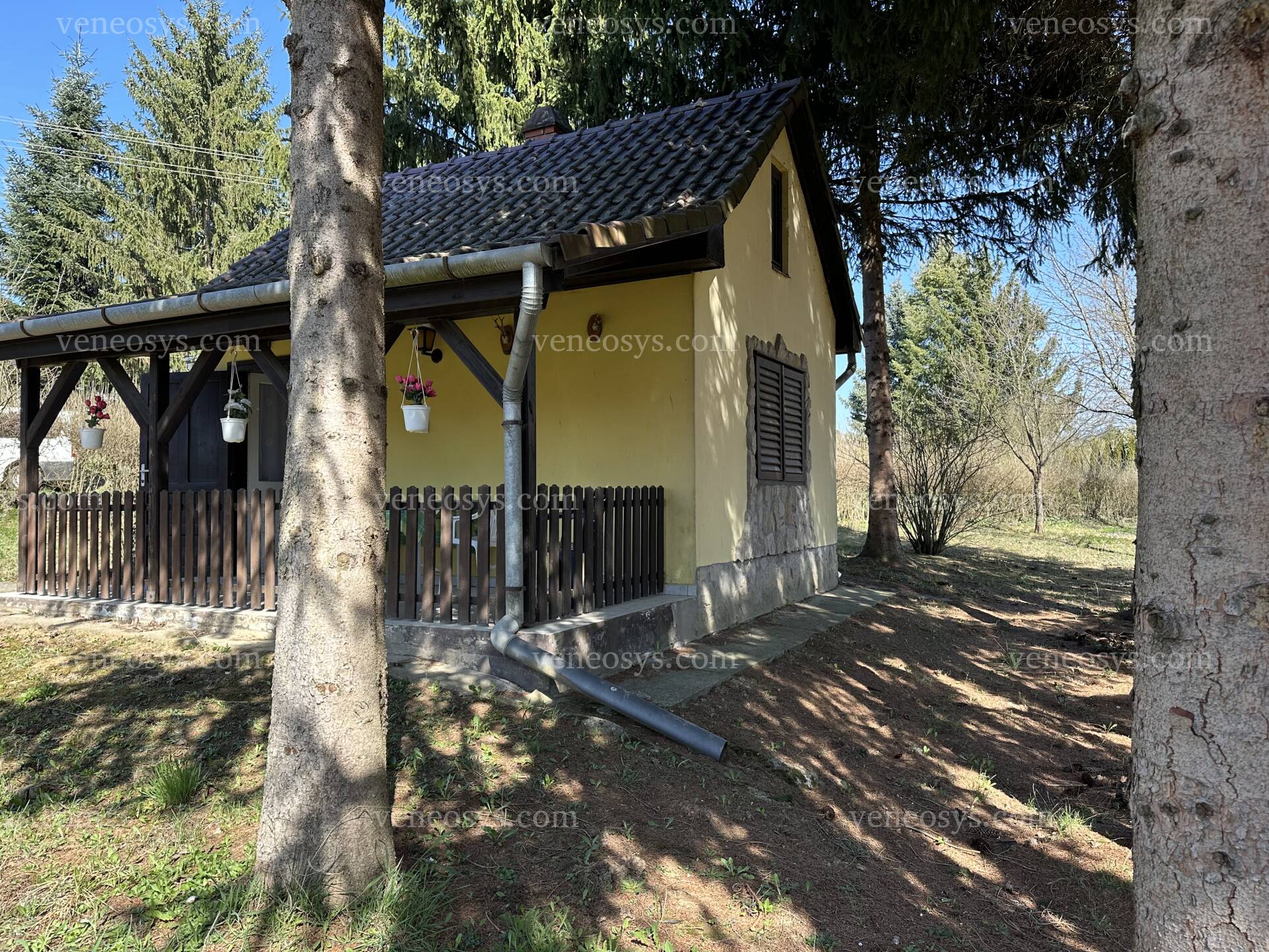 Kép 5