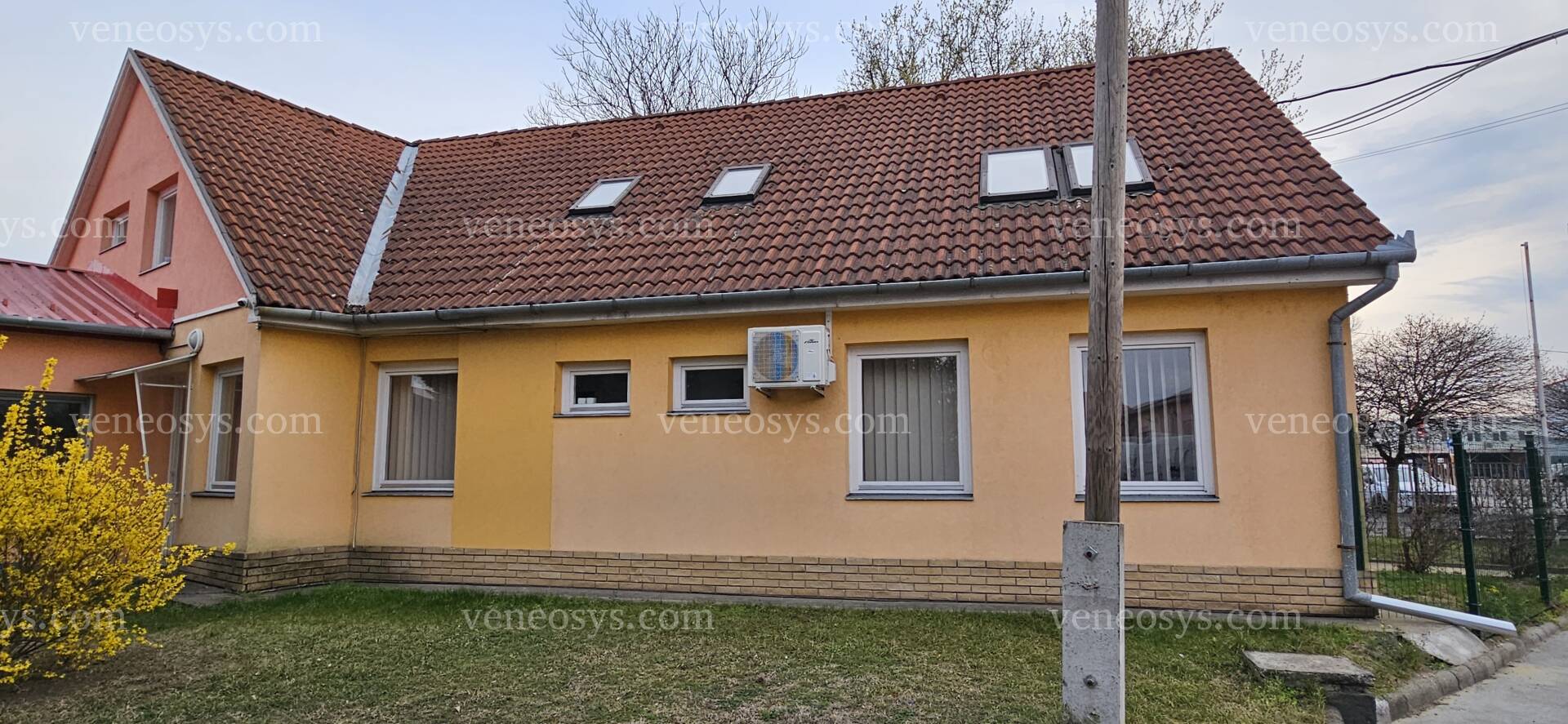 Kép 19