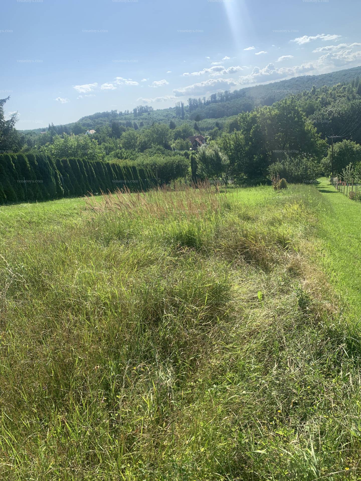 Kép 5
