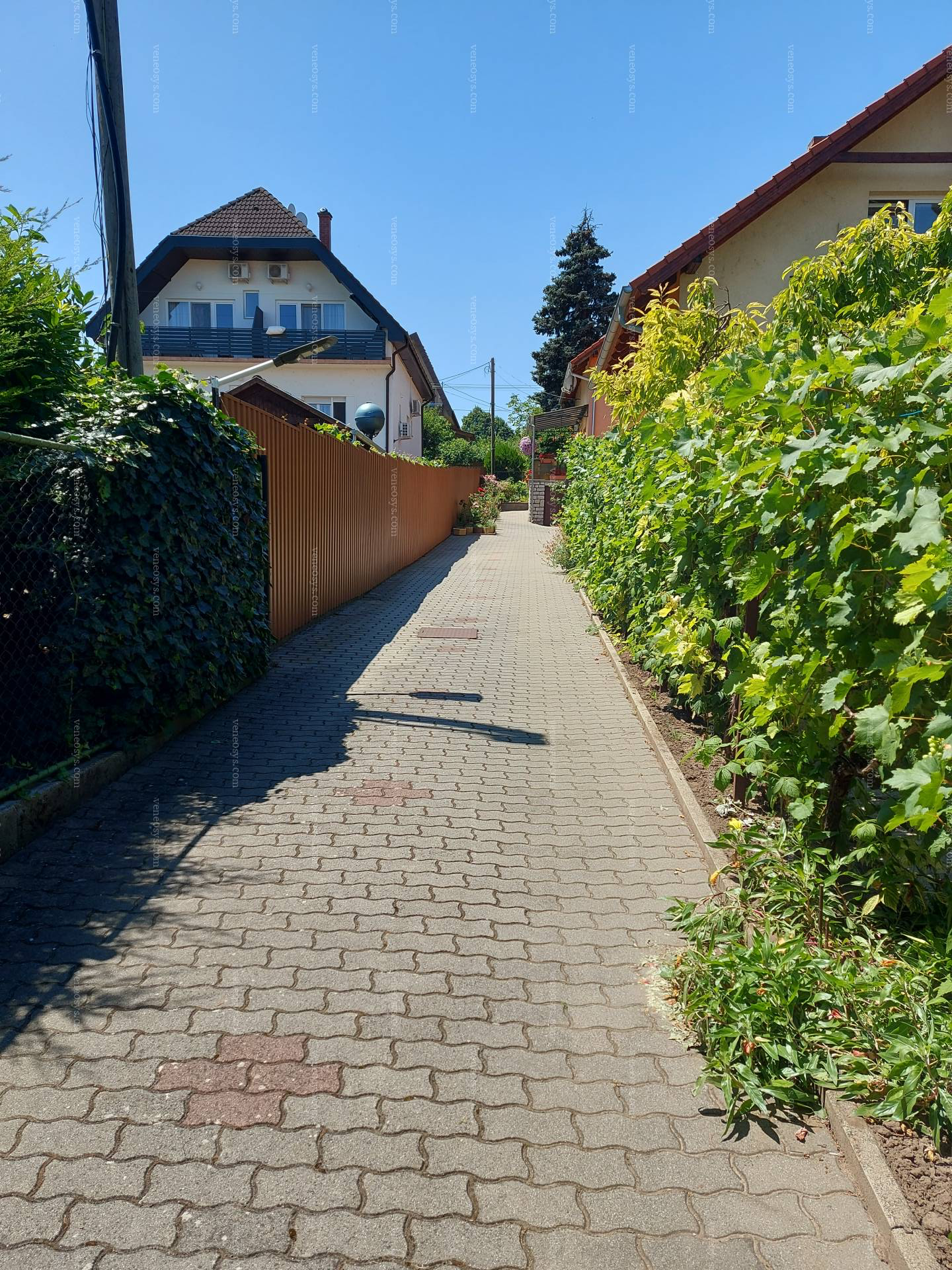 Kép 8