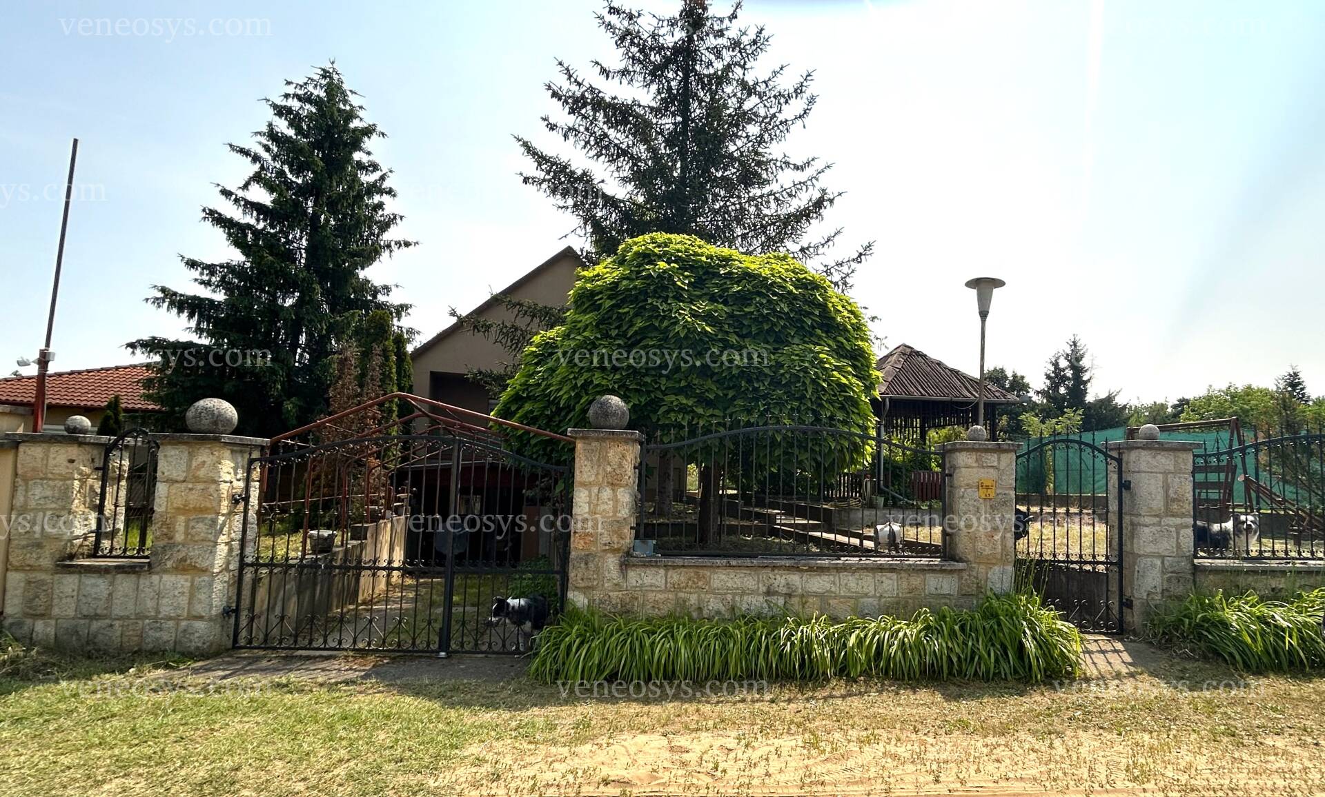 Kép 19