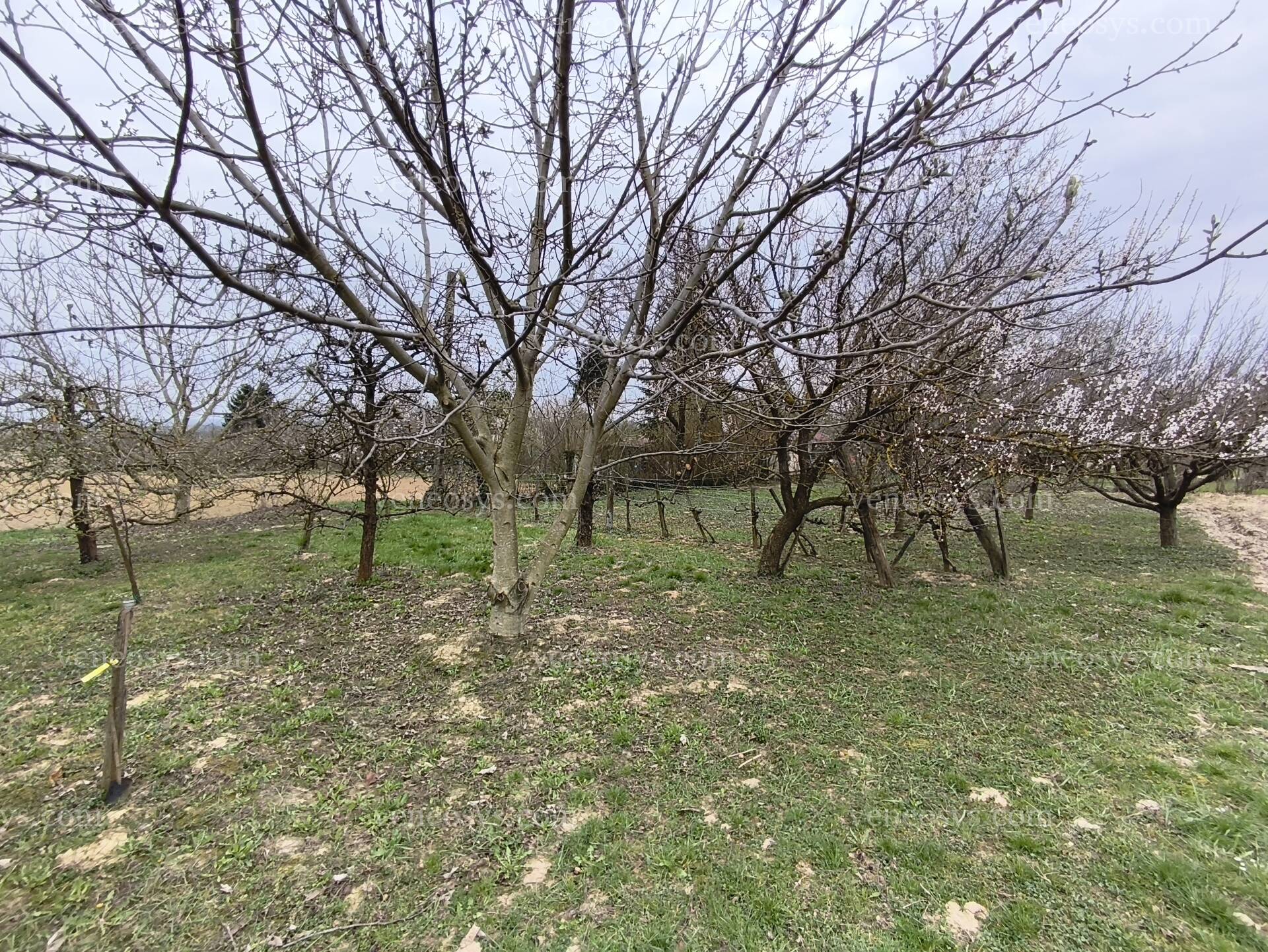 Kép 2