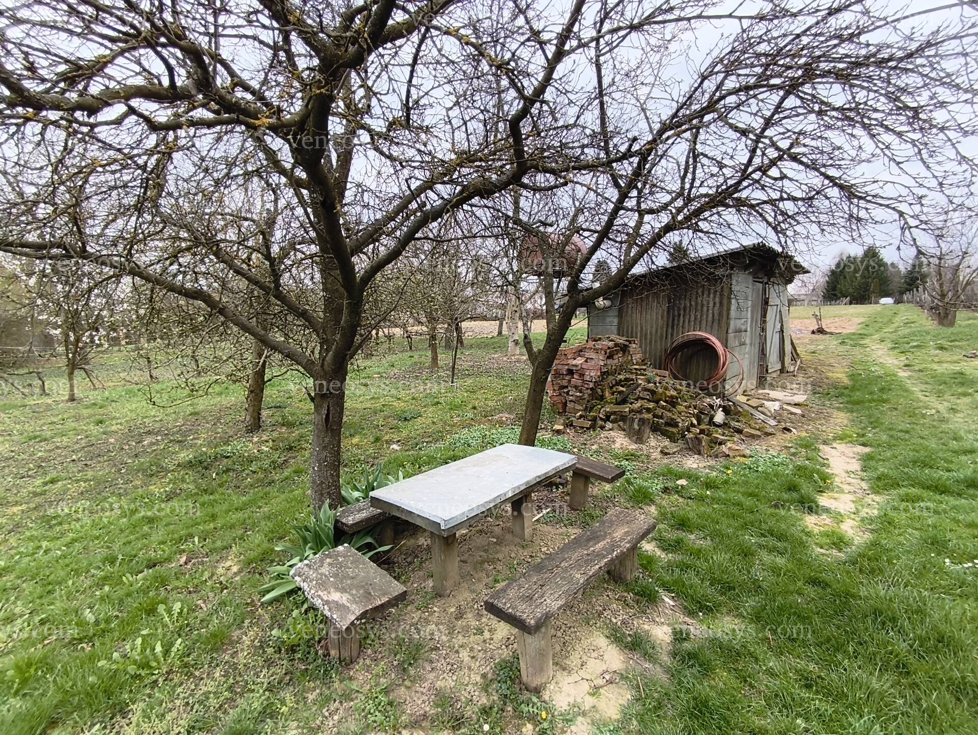 Kép 24
