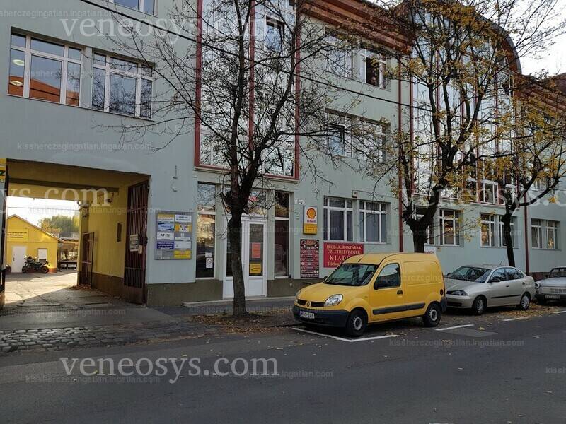 Kép 4