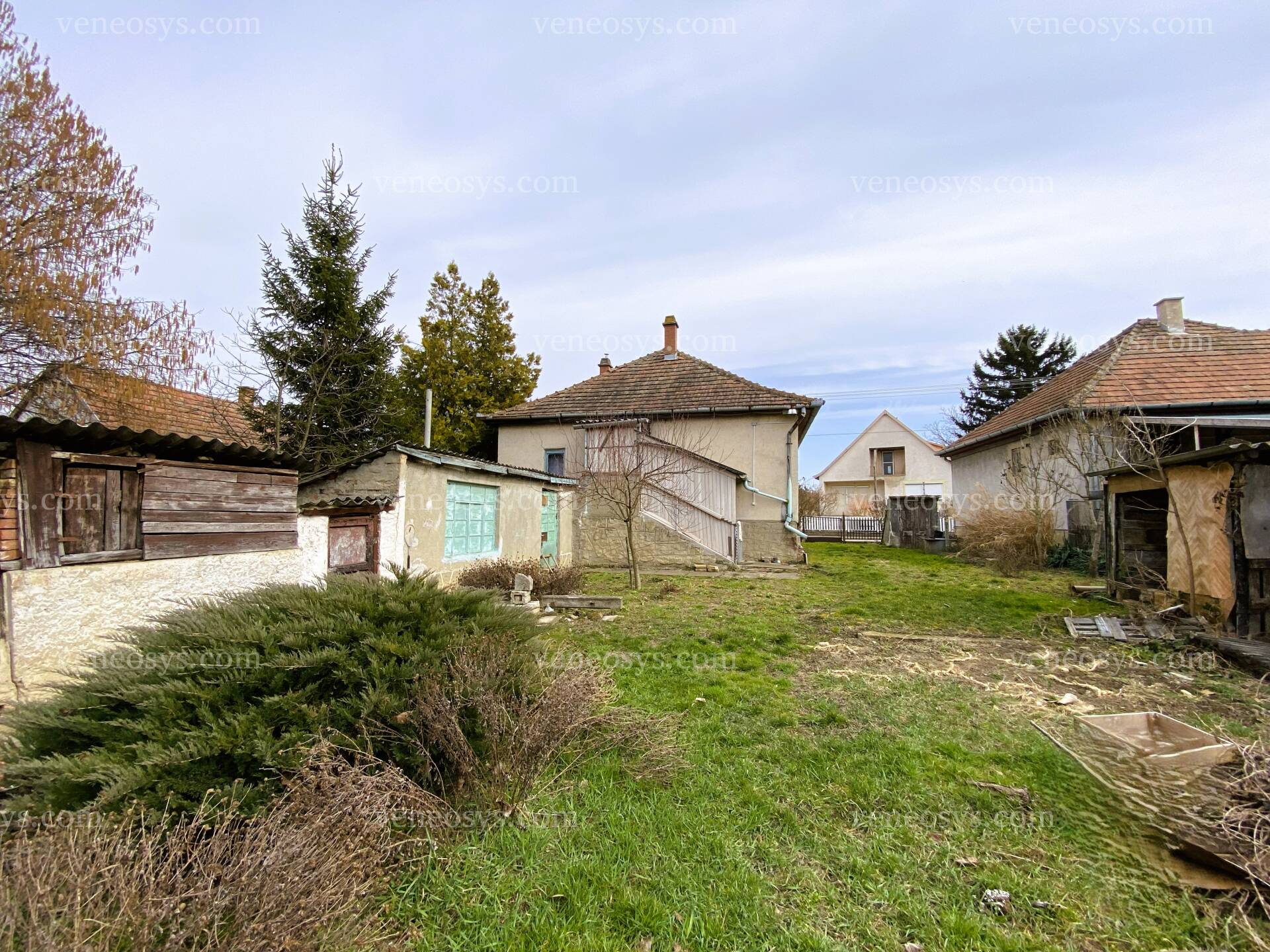 Kép 5
