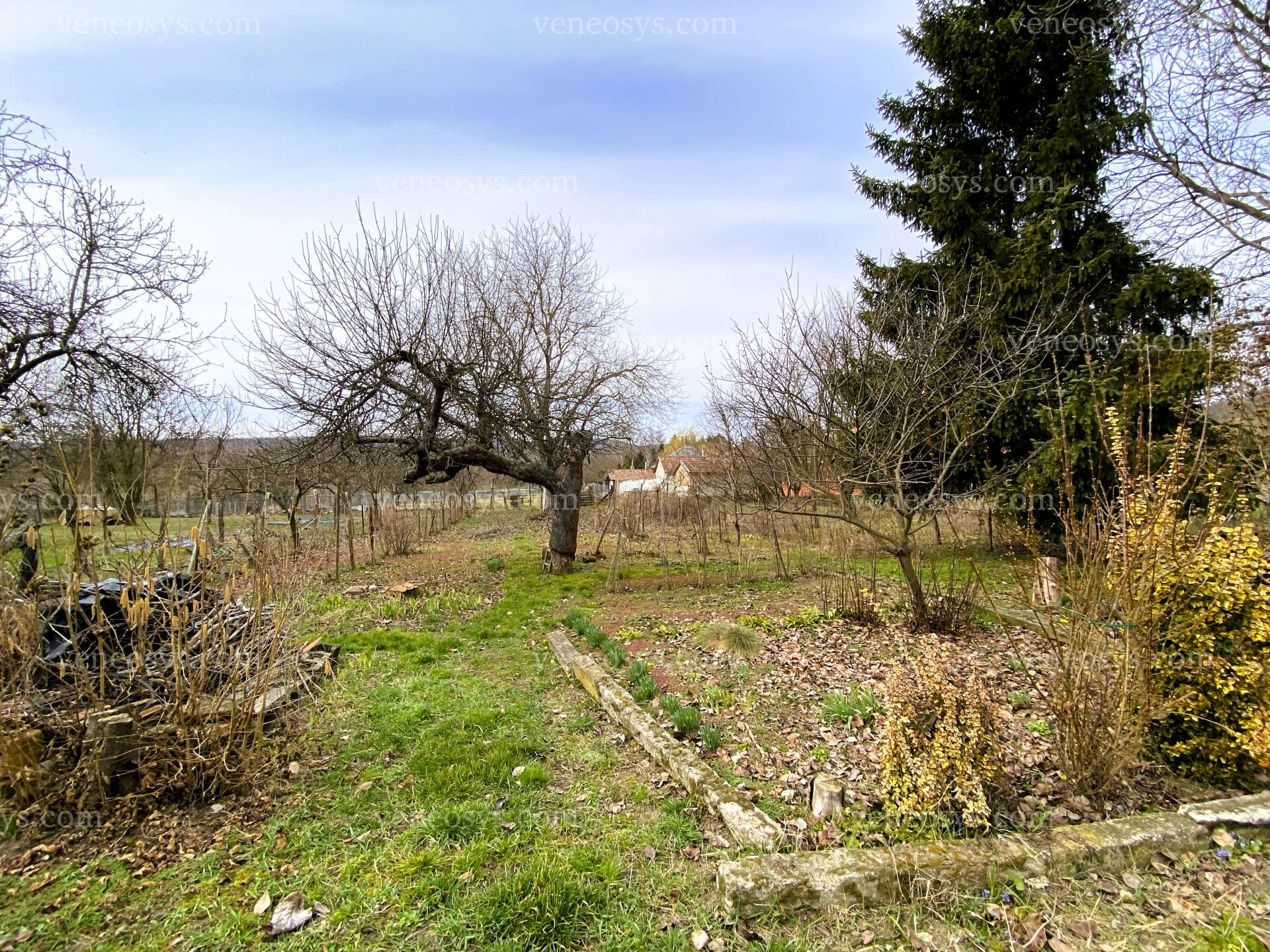 Kép 6
