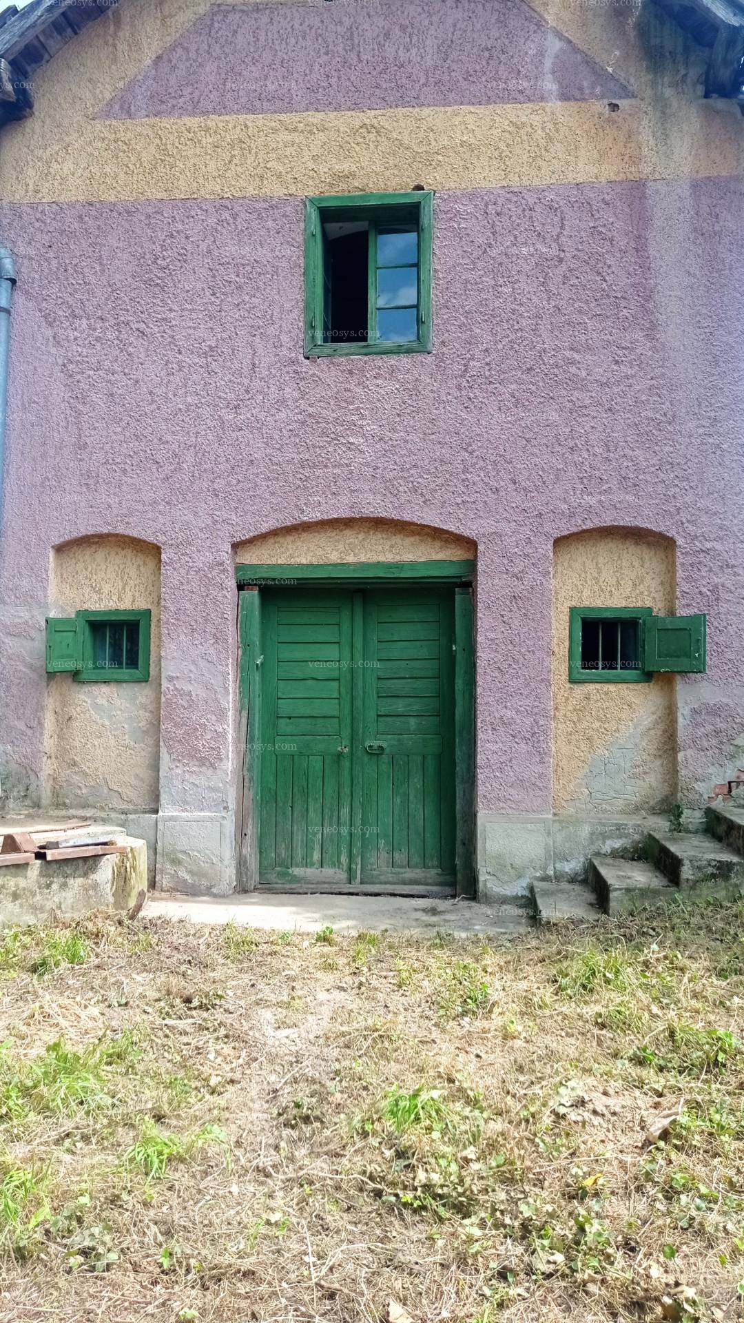 Kép 6