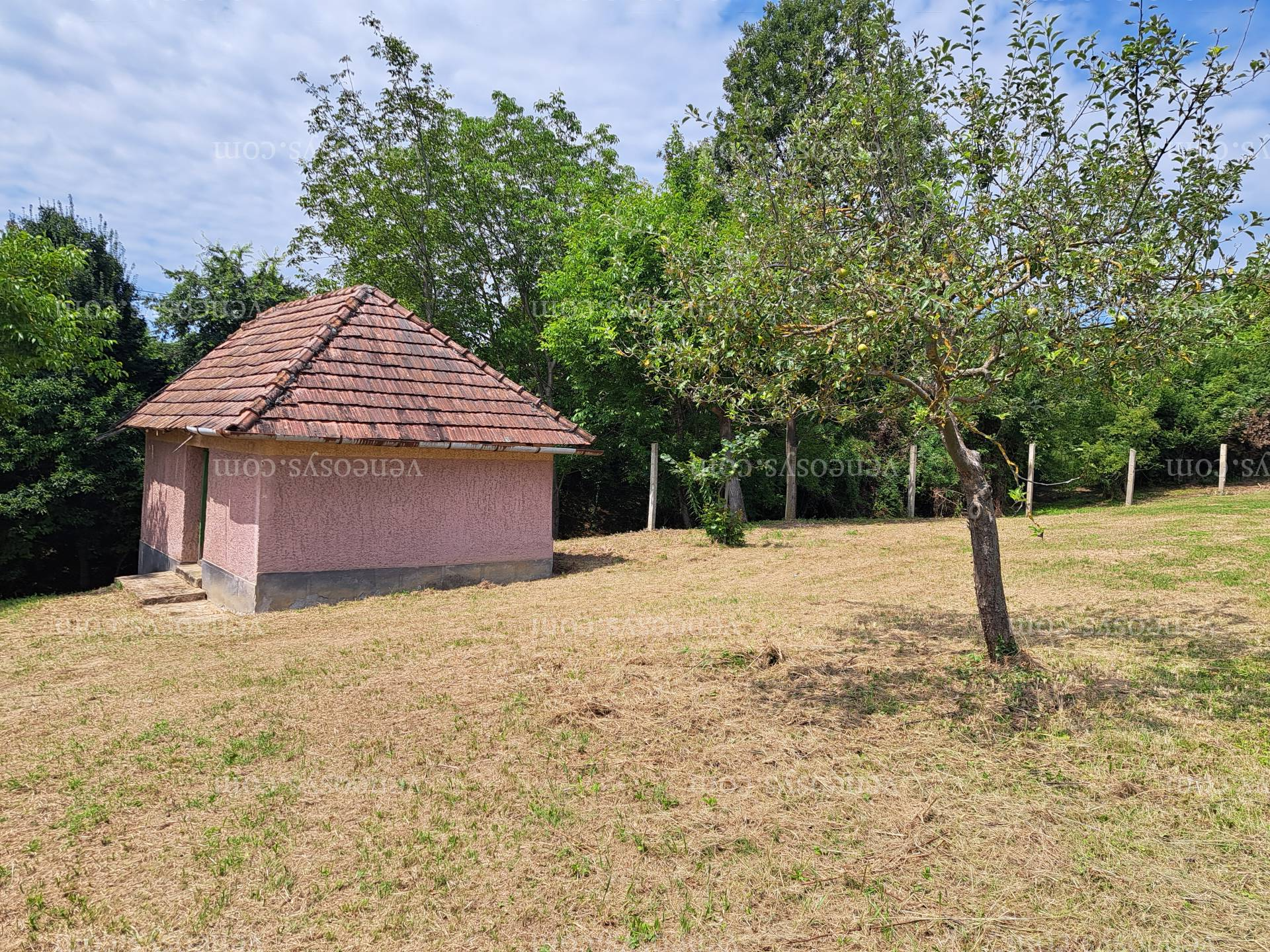Kép 5