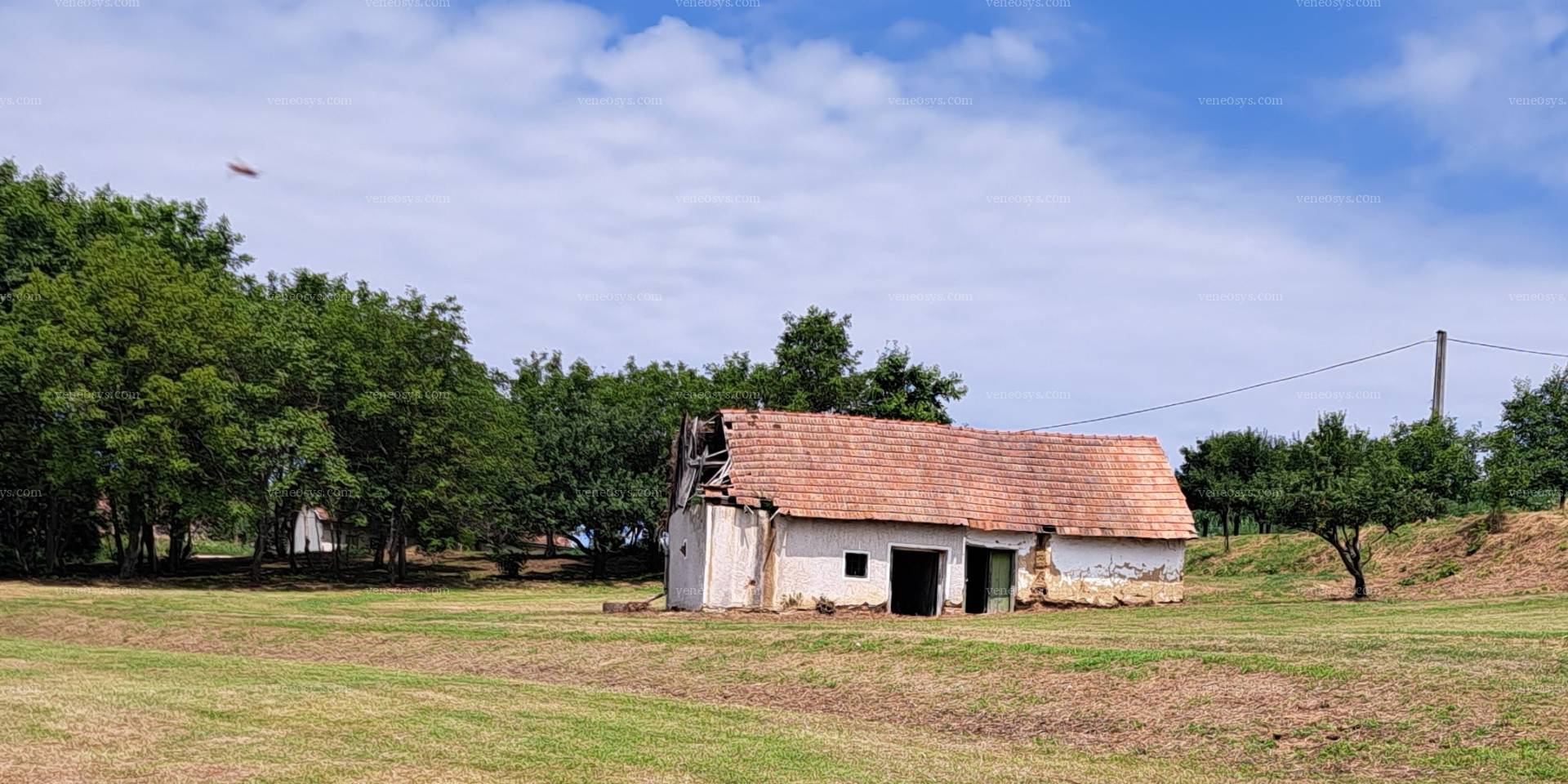 Kép 1