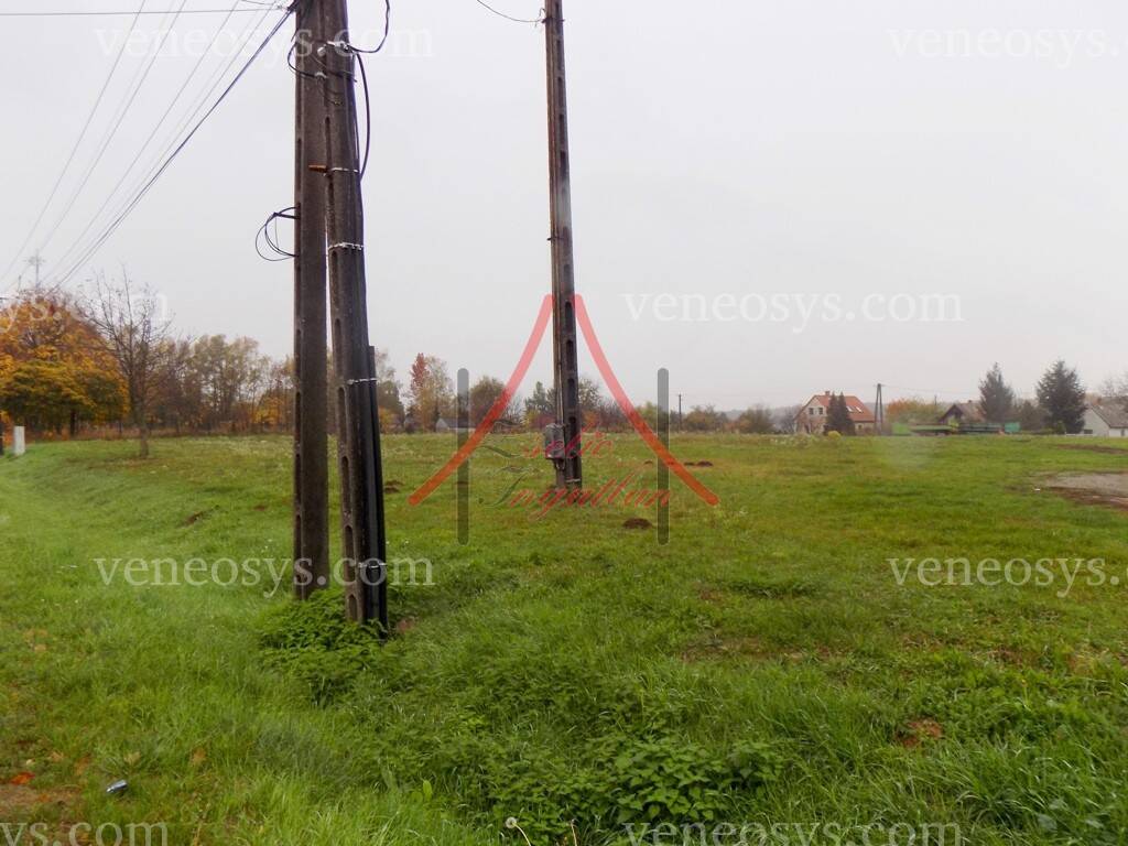 Kép 4