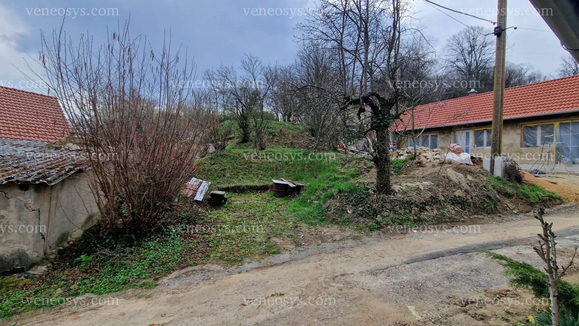Kép 12