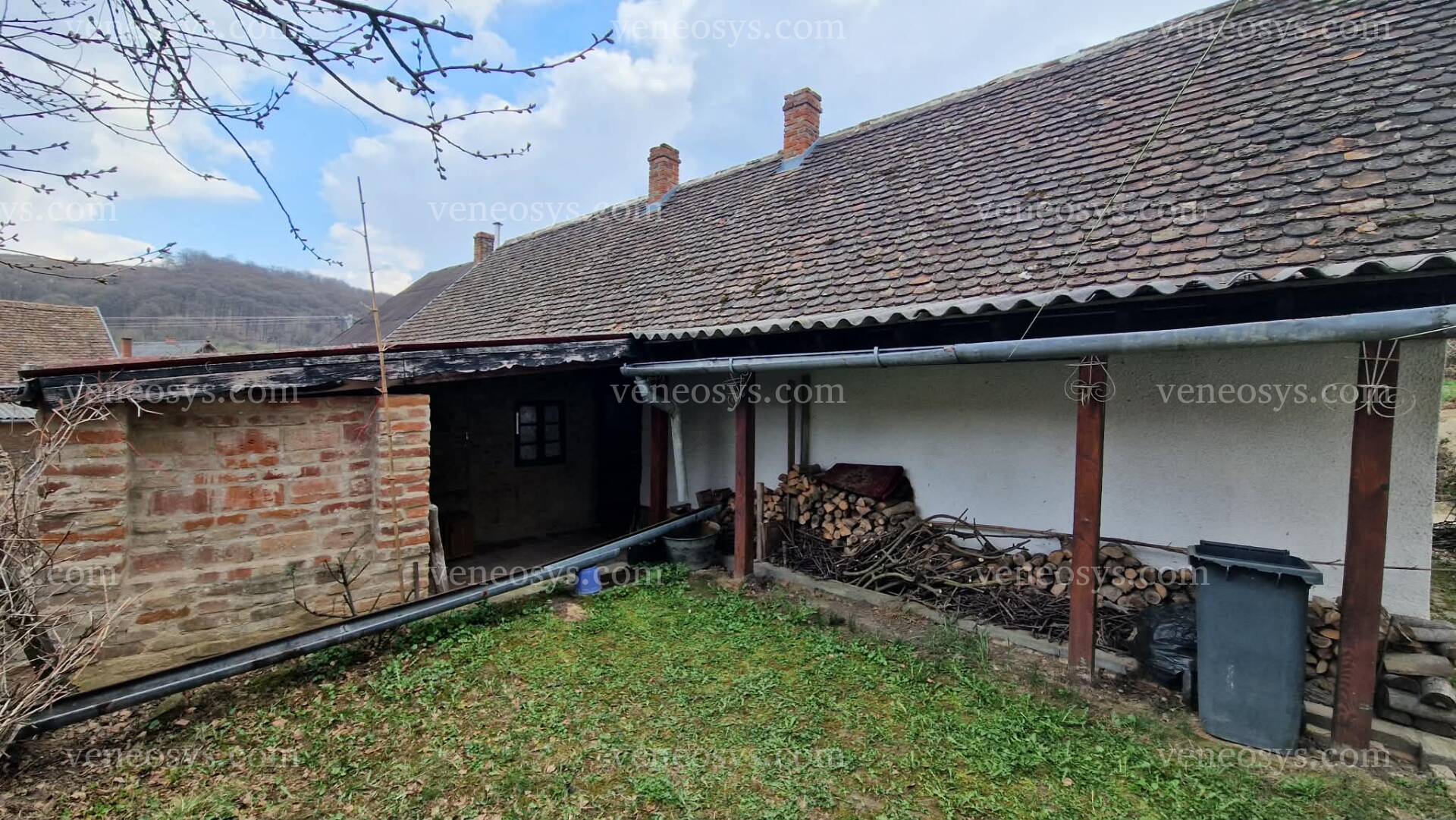 Kép 5