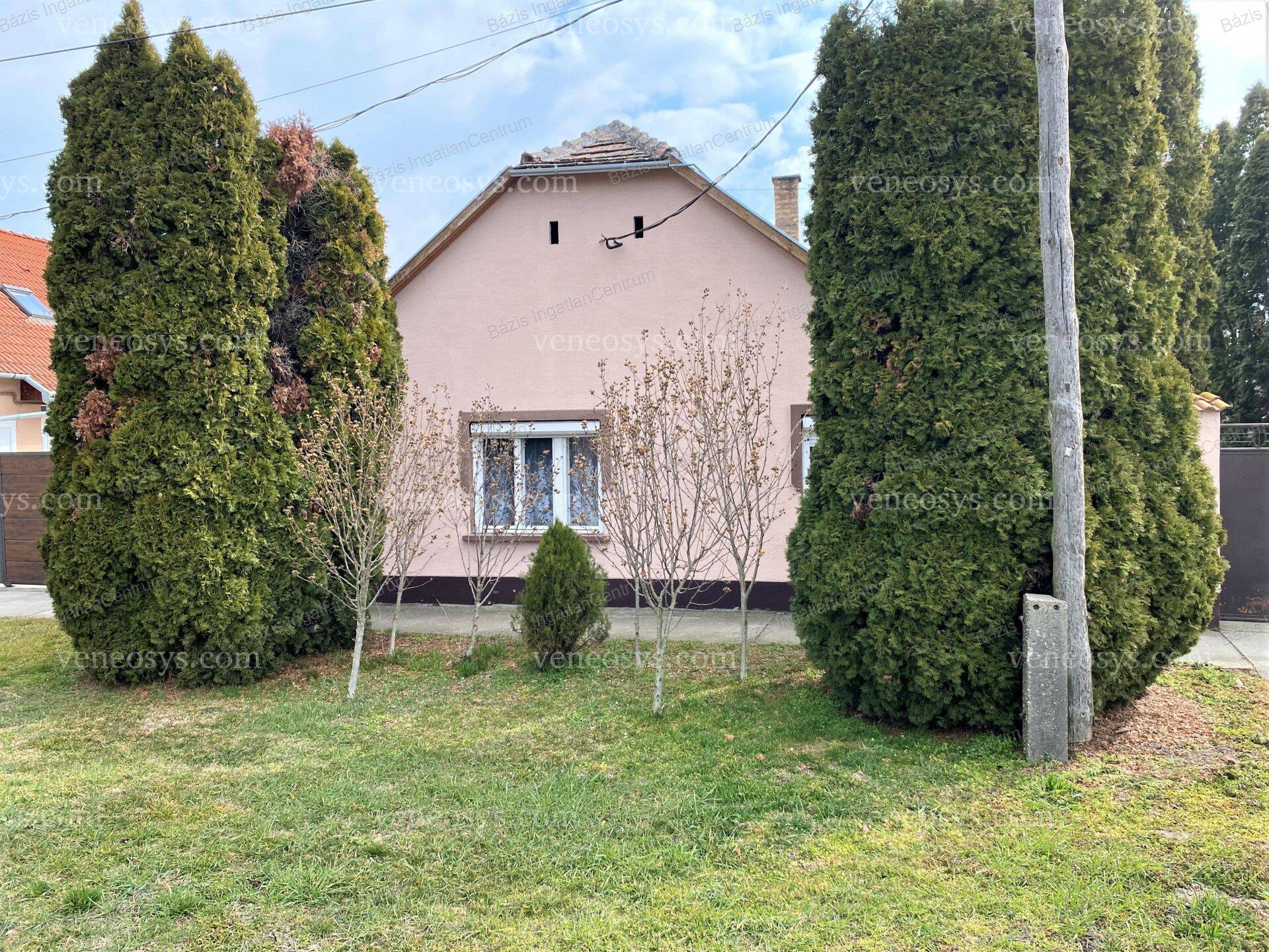 Kép 19