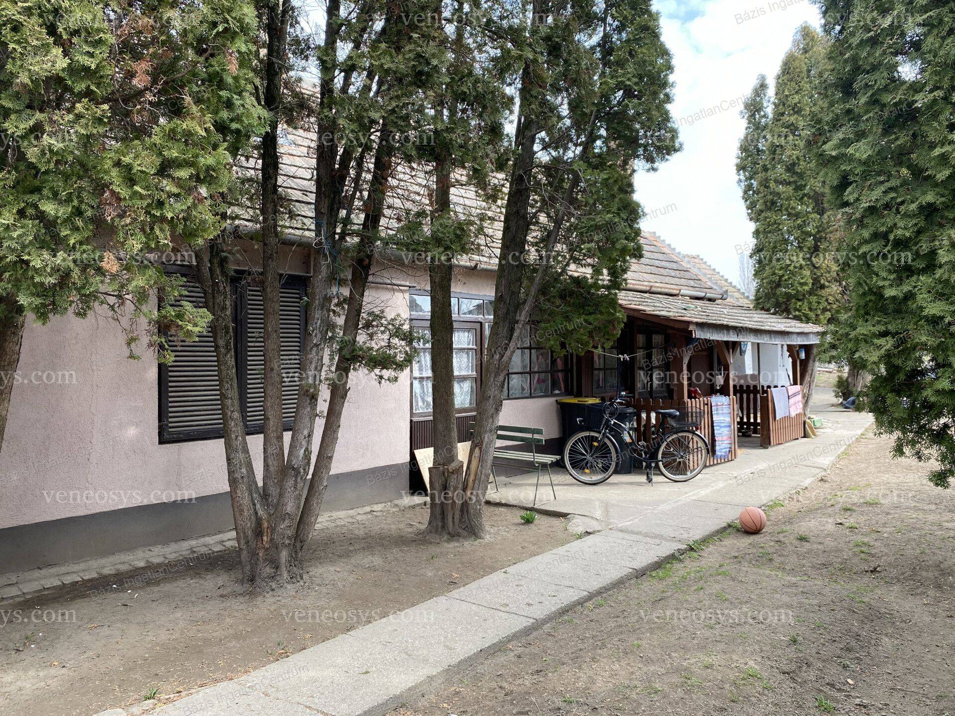 Kép 13