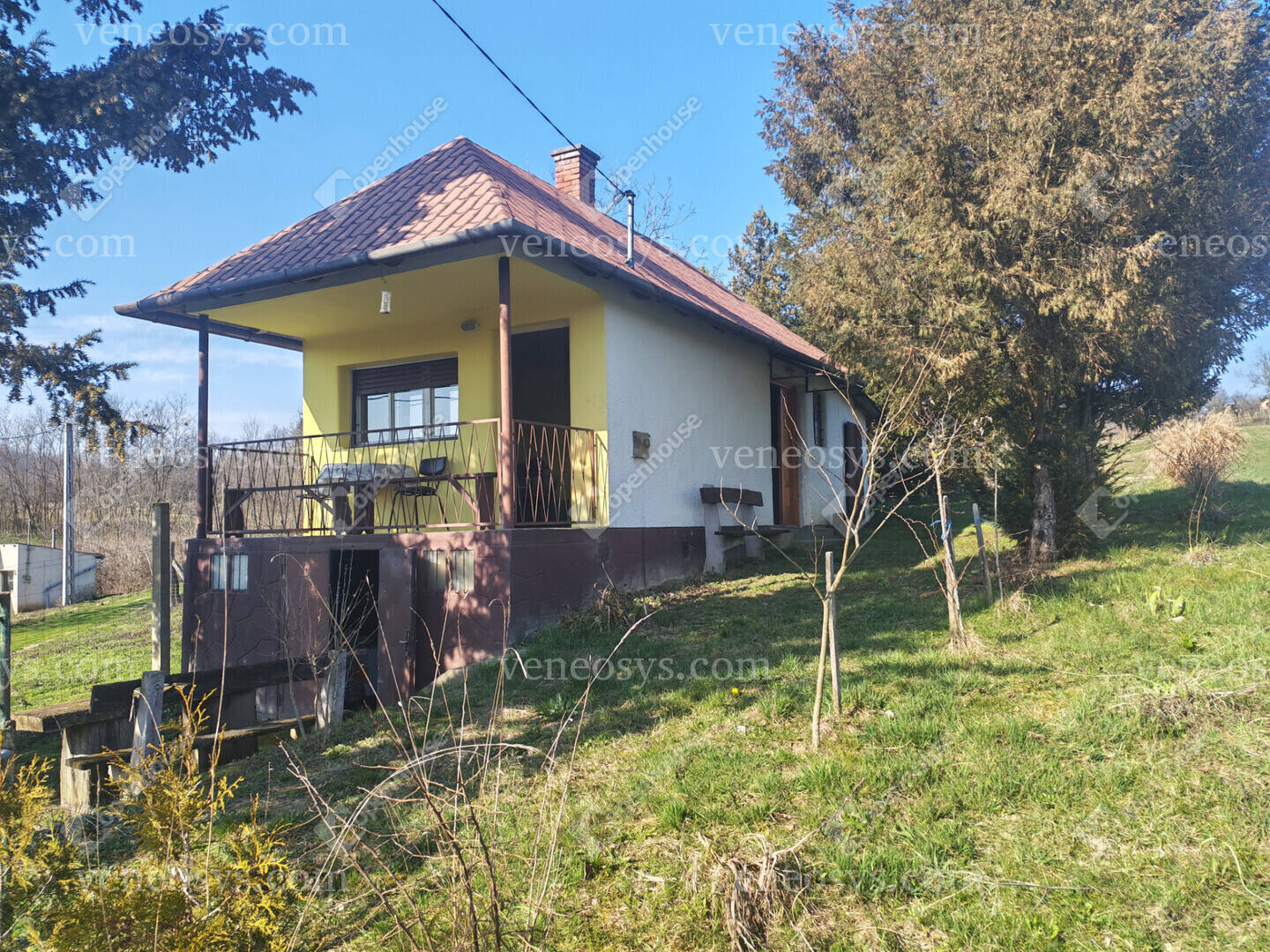 Kép 6
