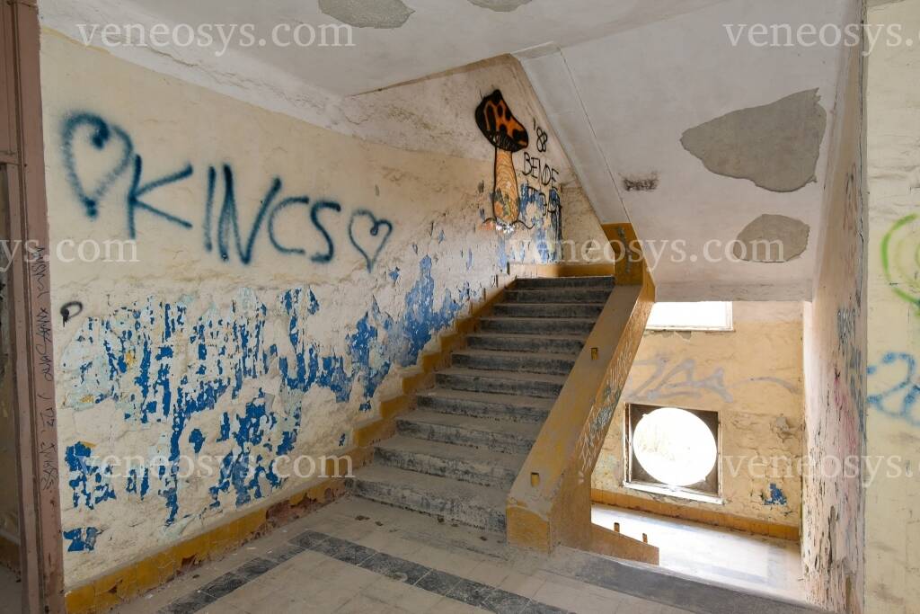Kép 15