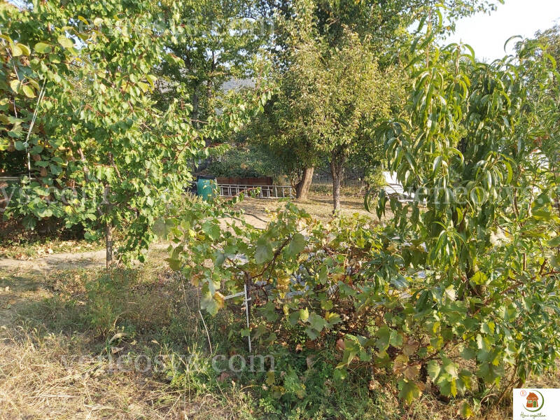 Kép 22