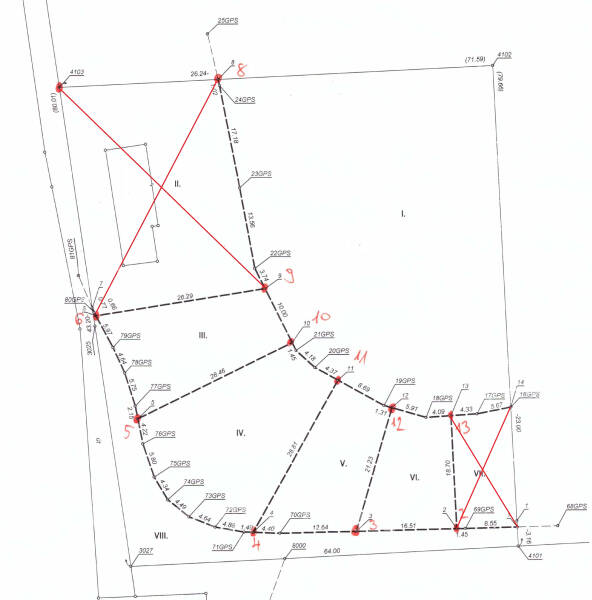 Kép 10