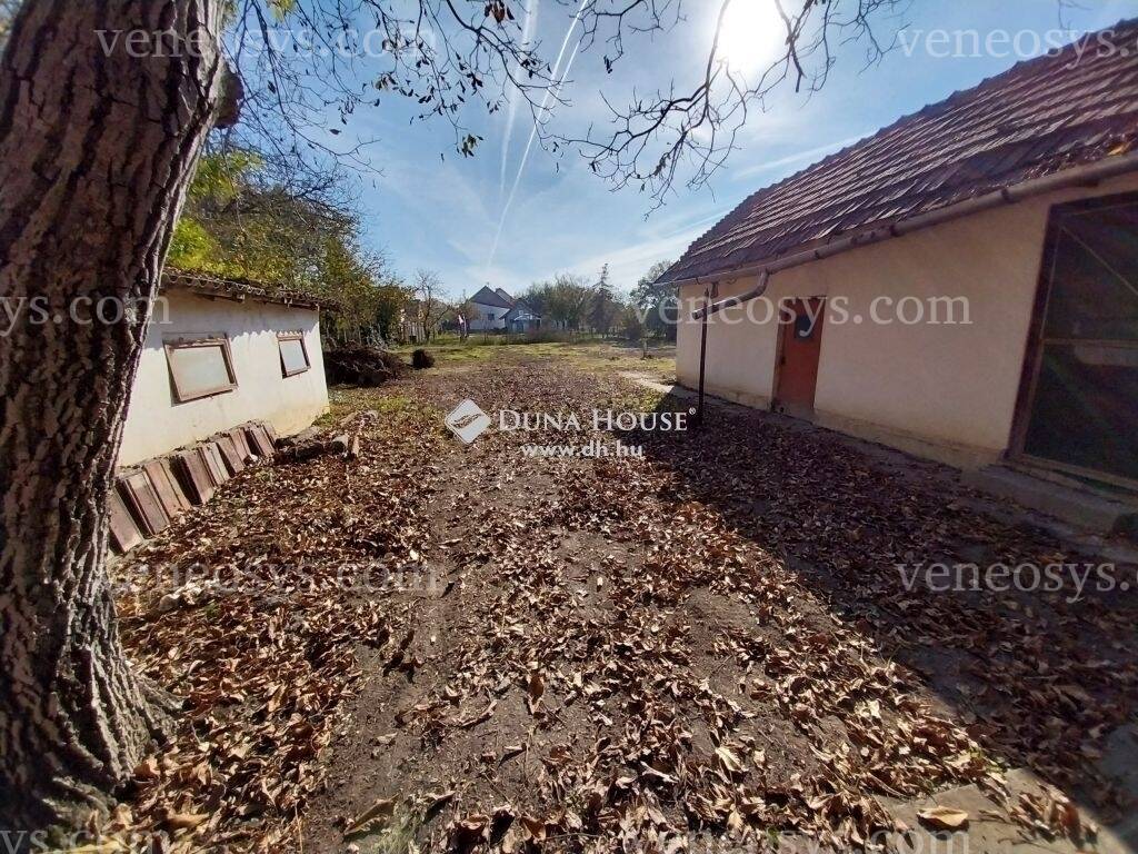 Kép 5