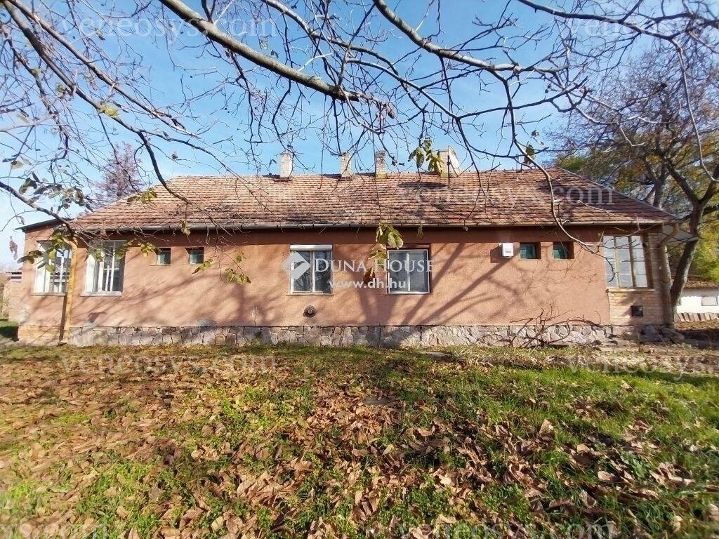 Kép 6