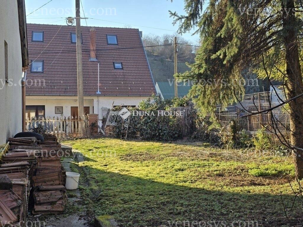 Kép 4