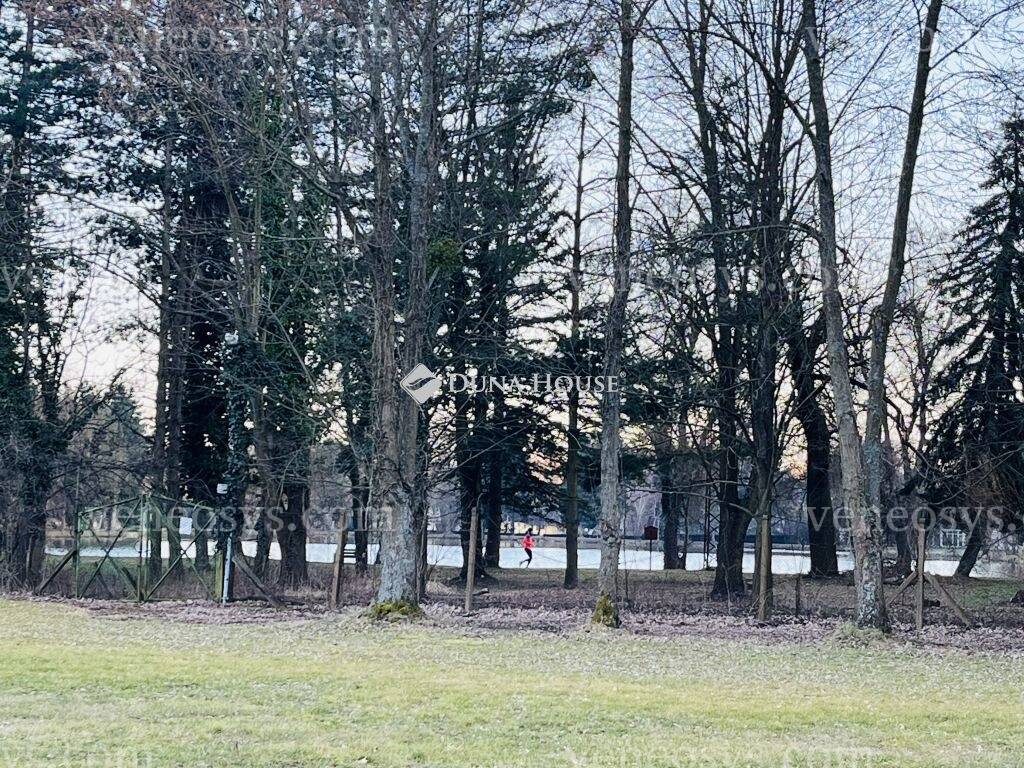Kép 7