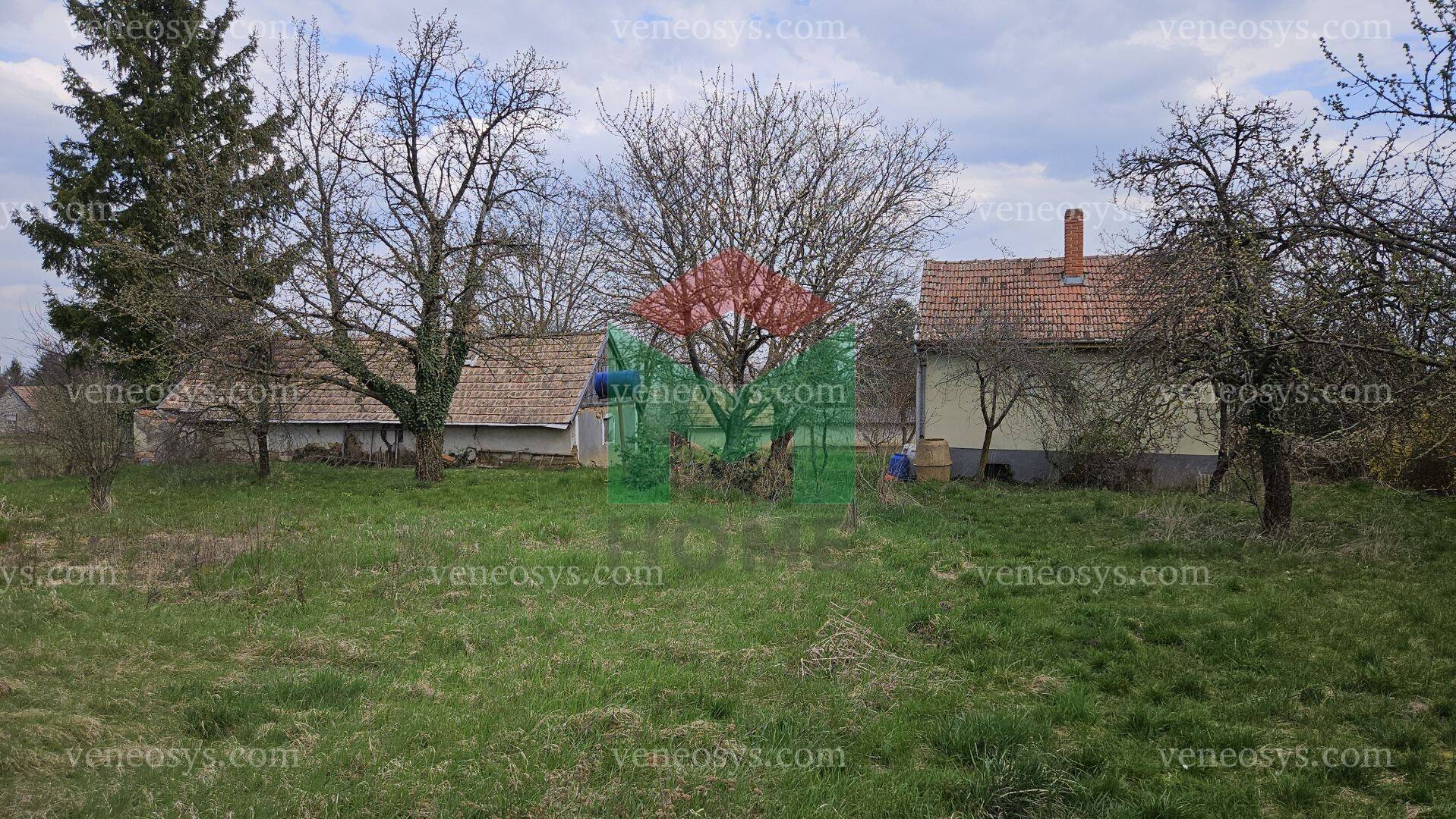 Kép 15