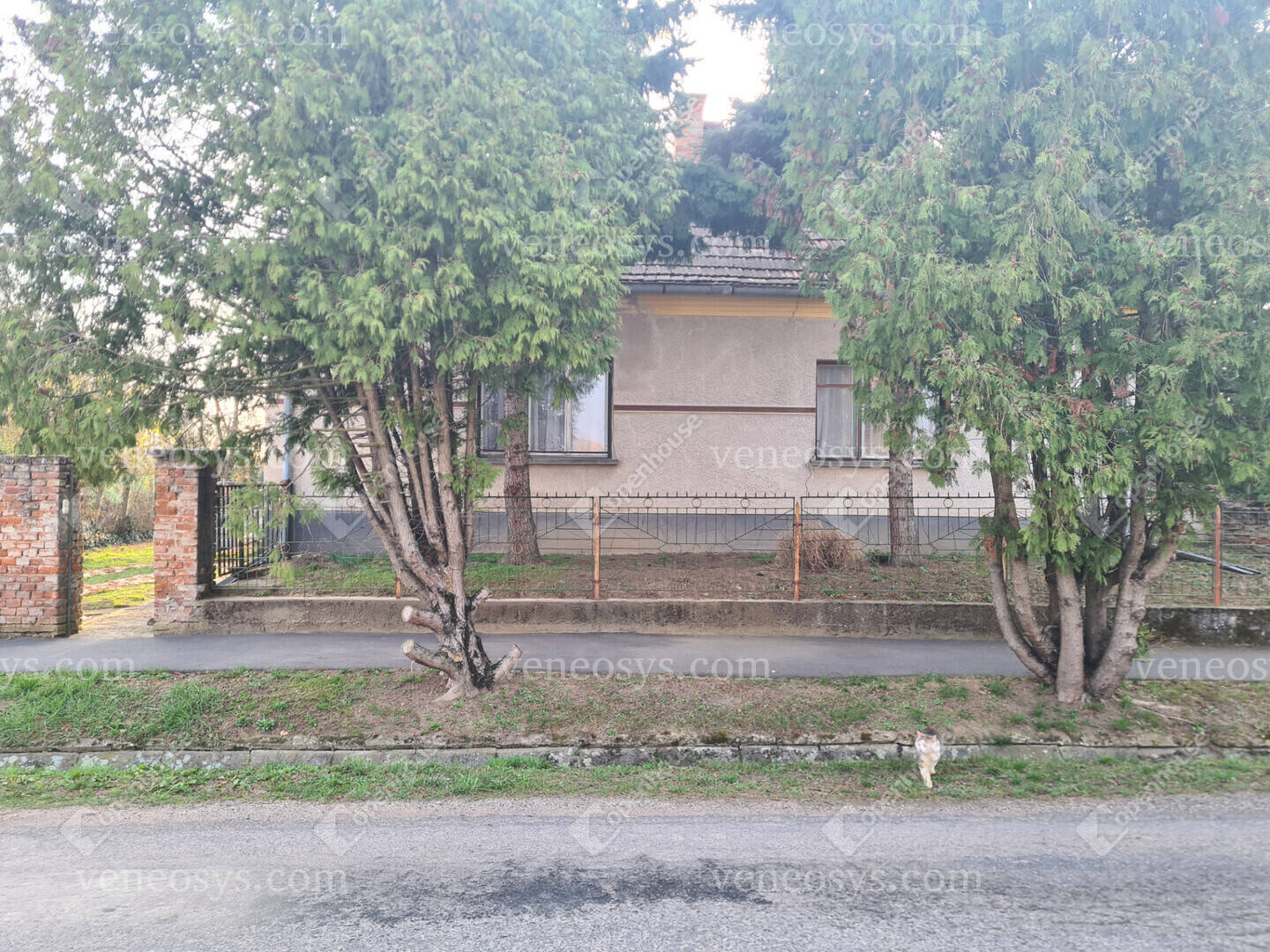 Kép 4