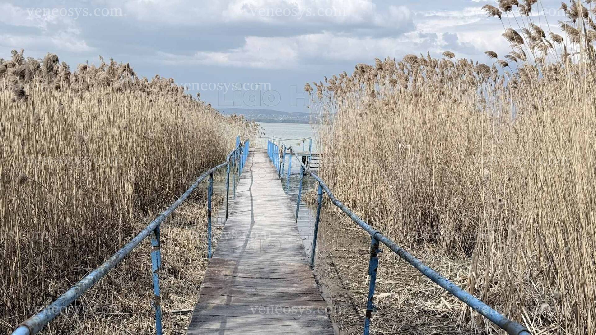 Kép 2