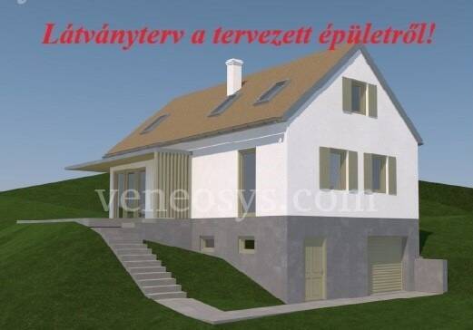 Kép 7