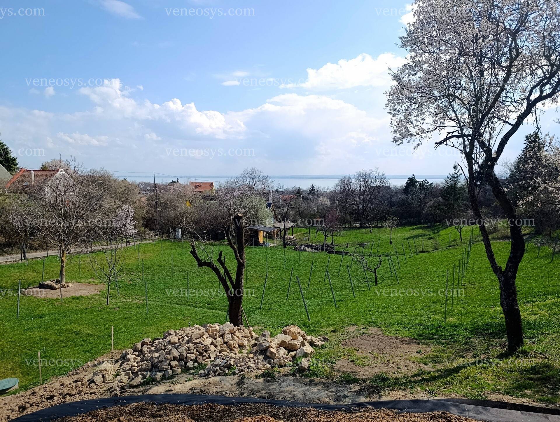Ingatlan
