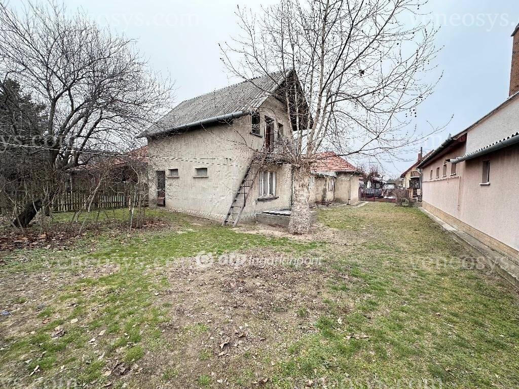 Kép 8