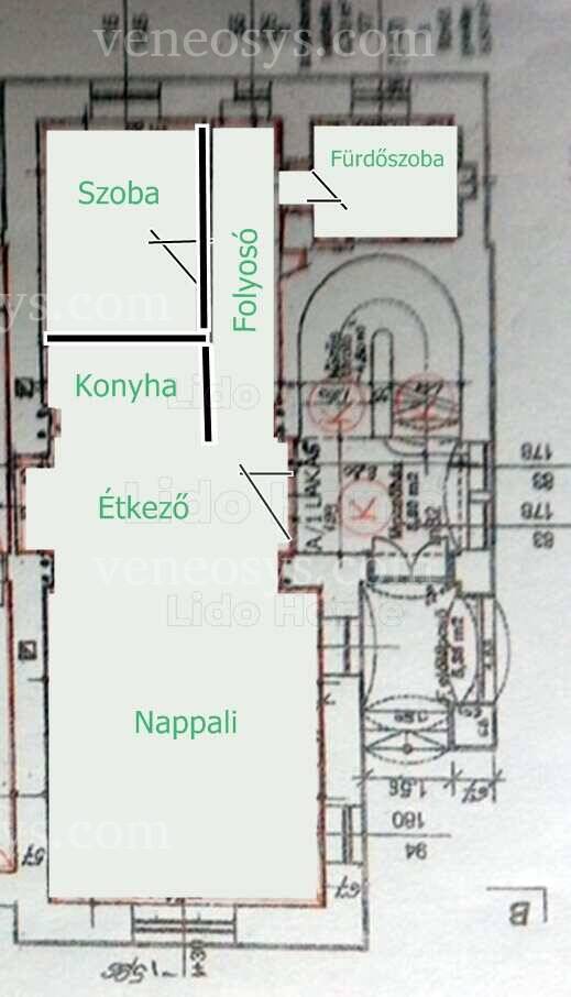 Kép 5