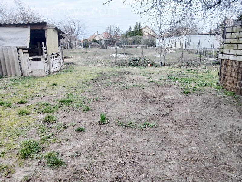 Kép 11