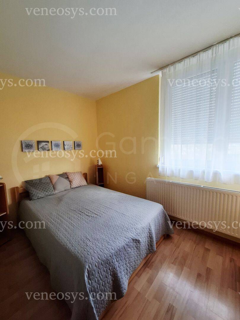 Kép 5