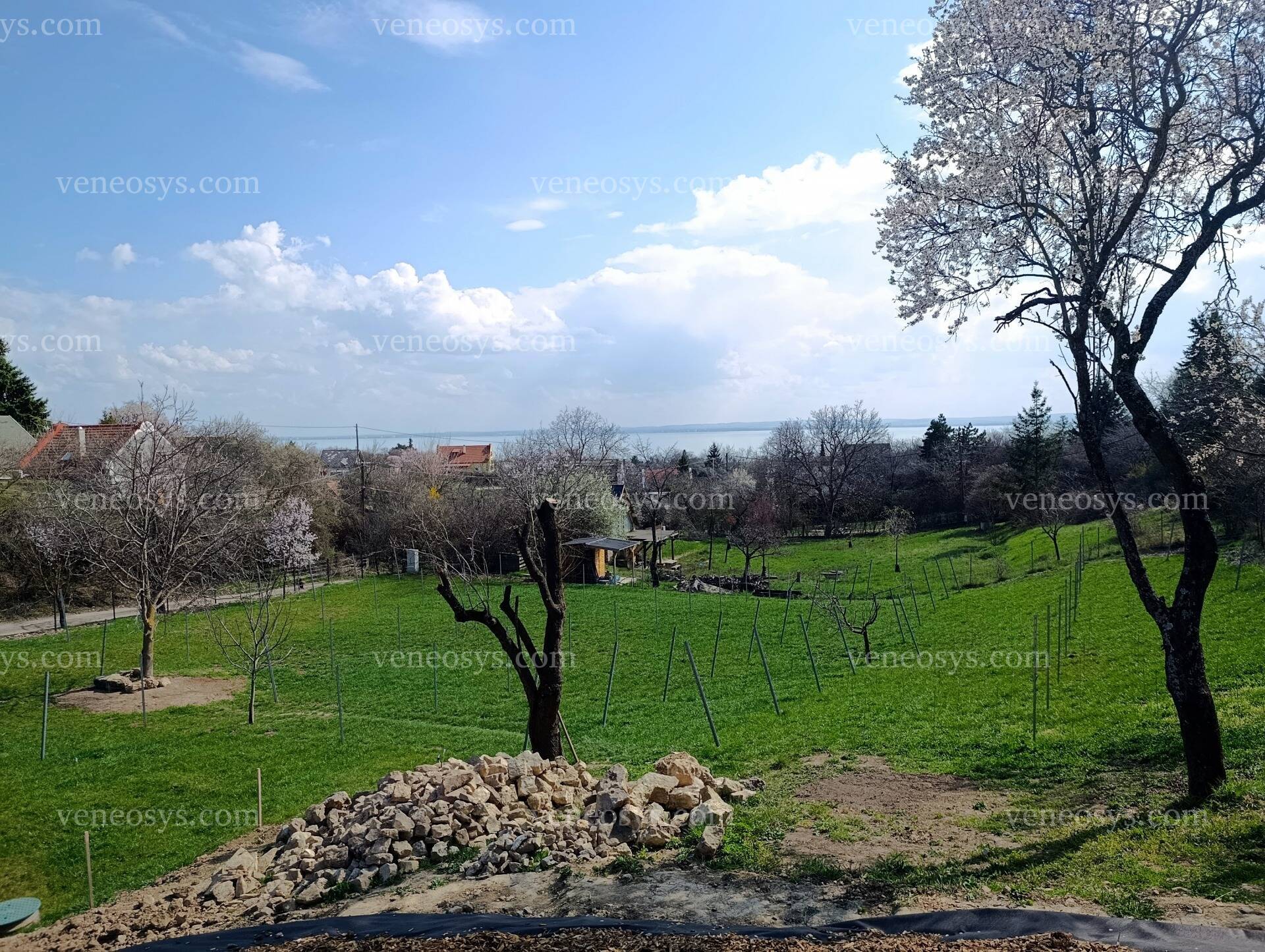 Ingatlan