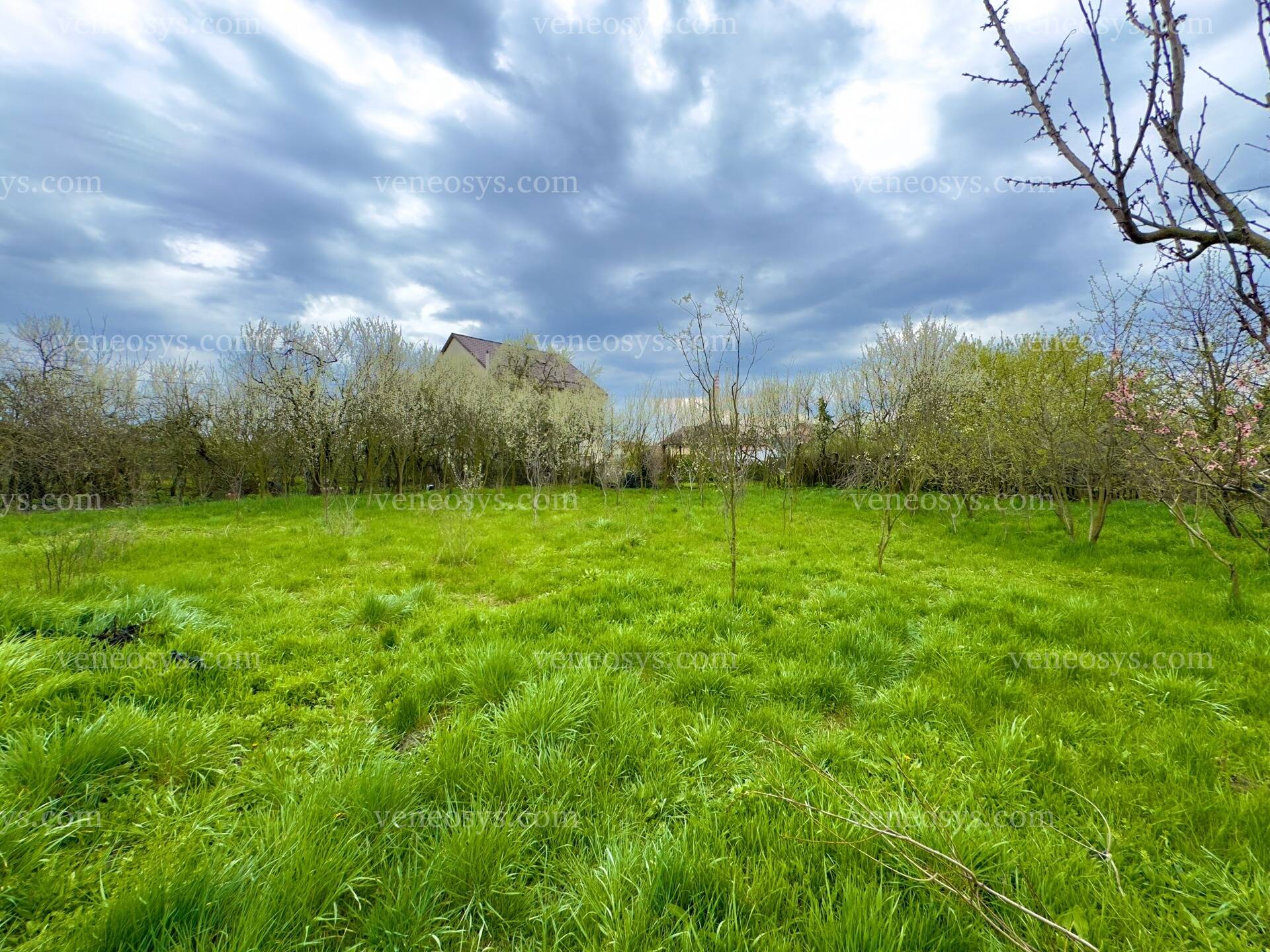 Tiszaújváros
