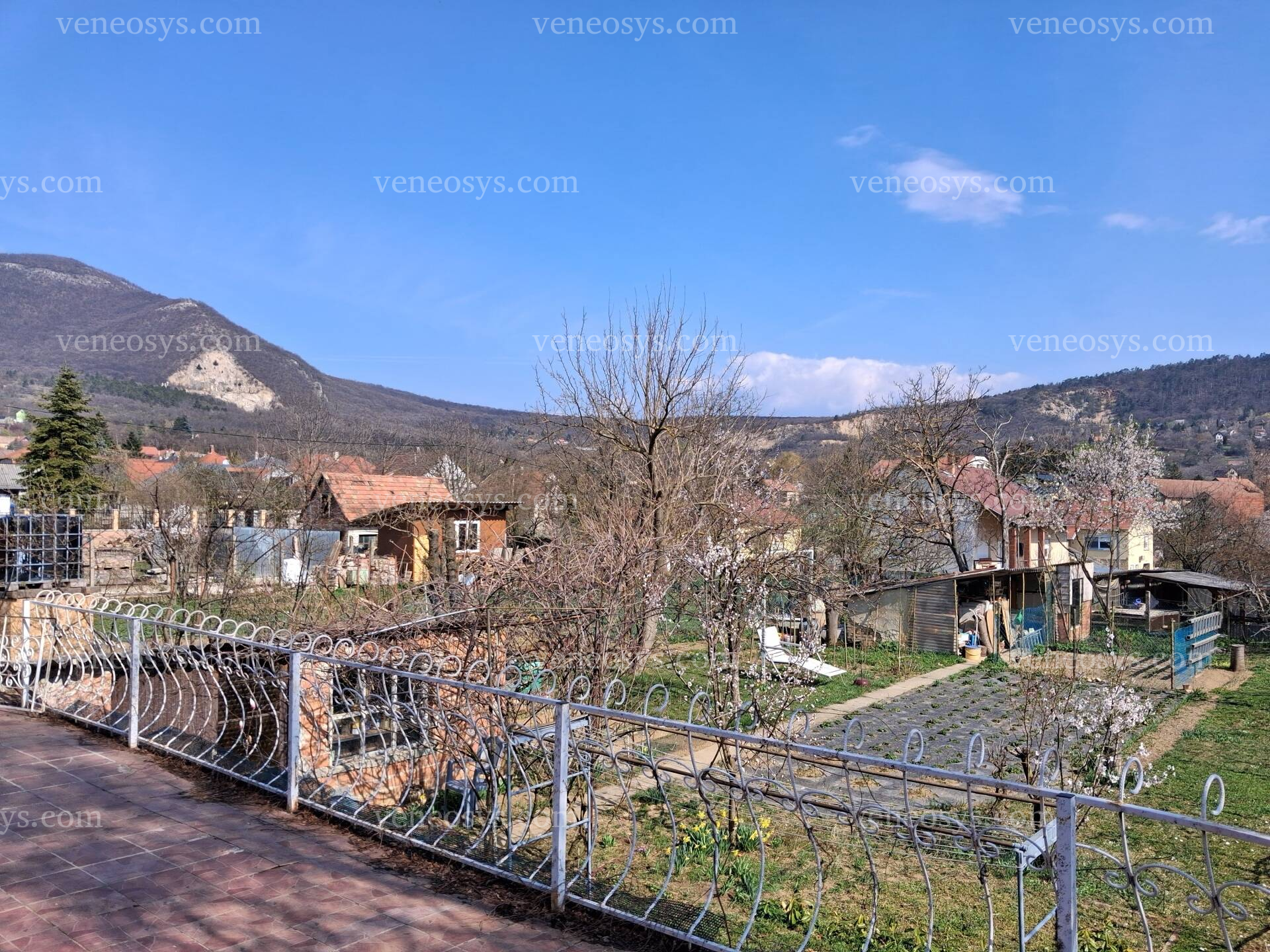 Kép 1