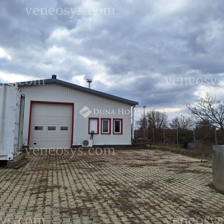 Kép 5