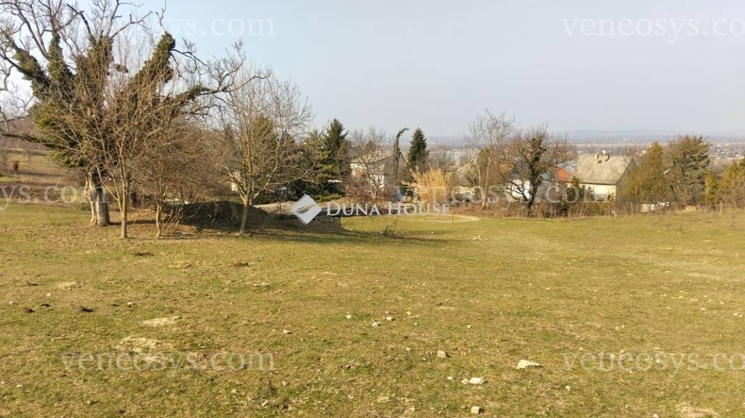 Kép 10