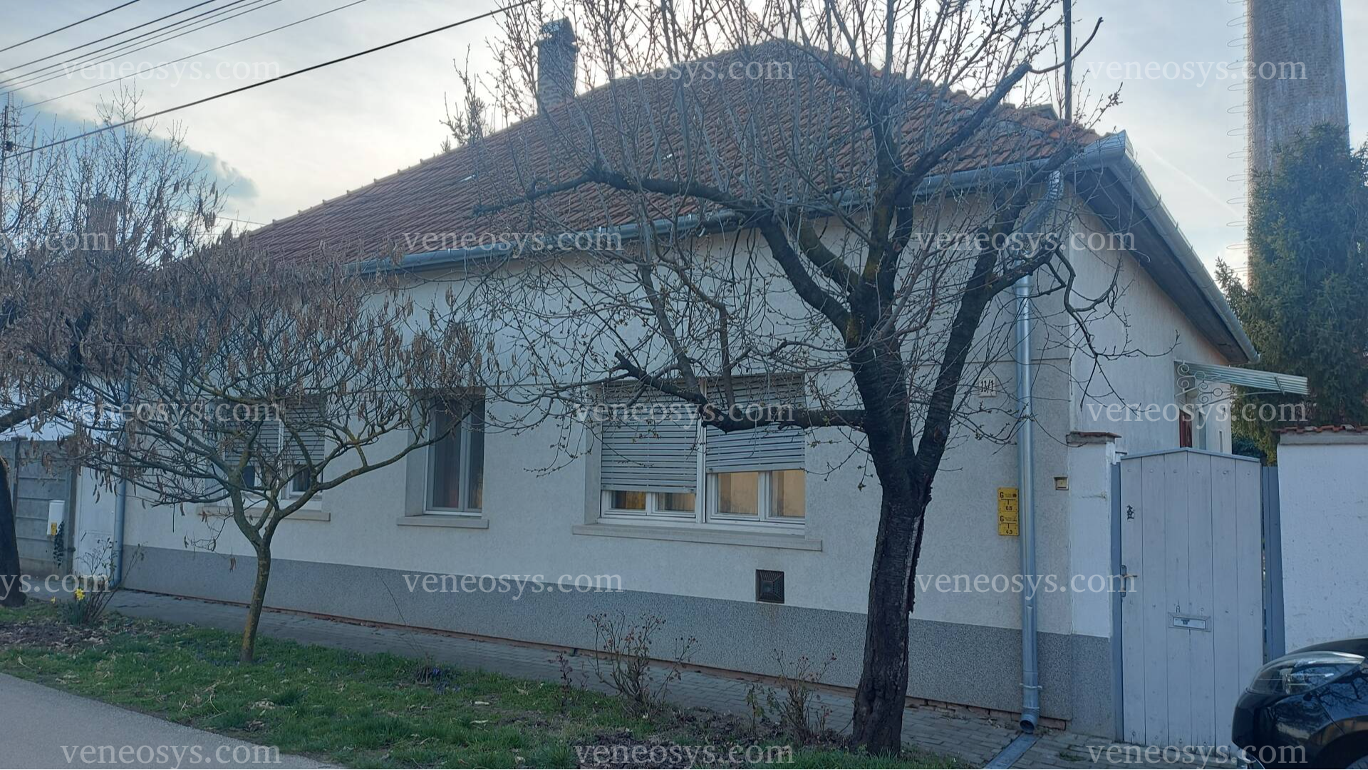 Gyula