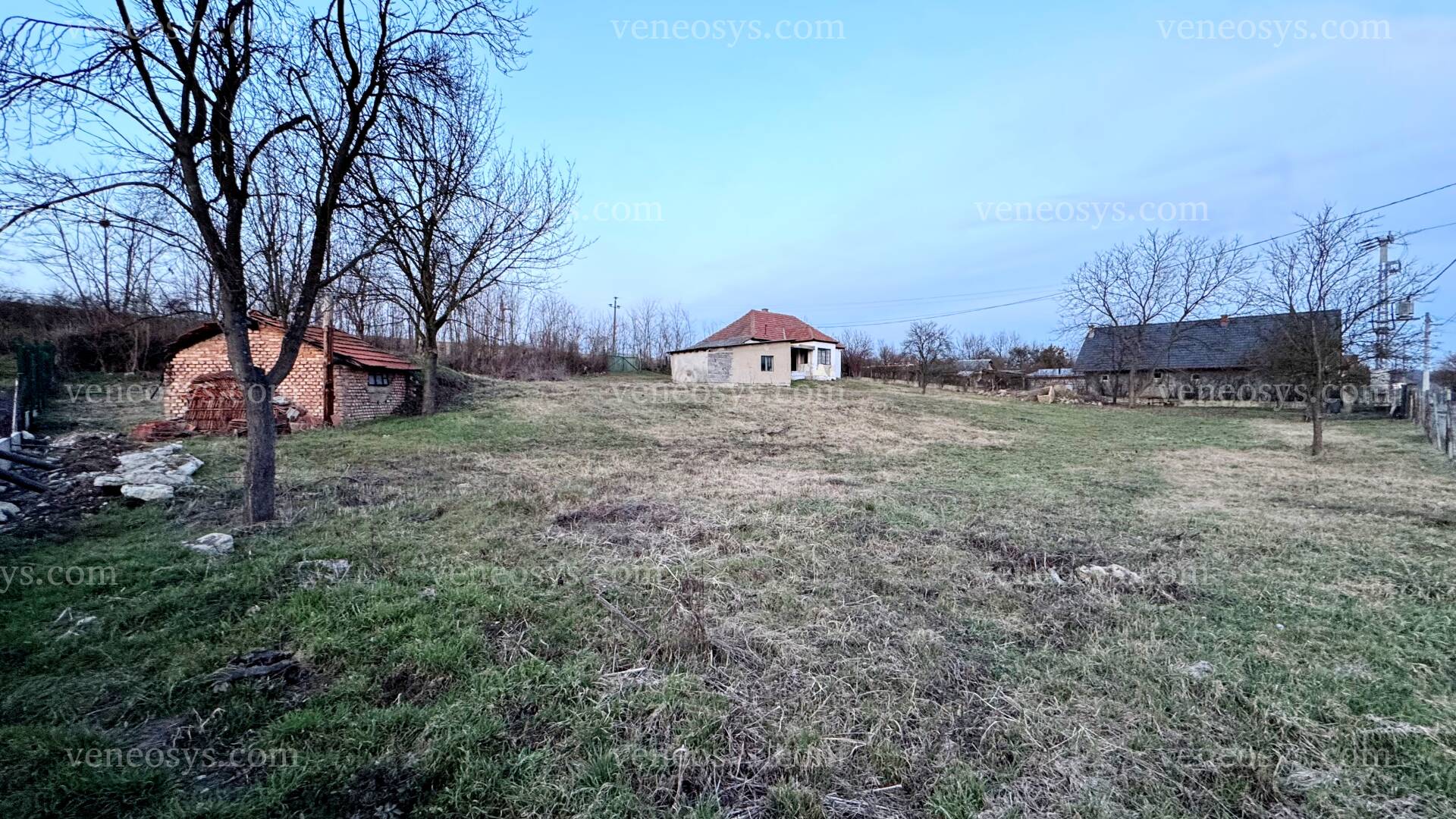 Kép 13