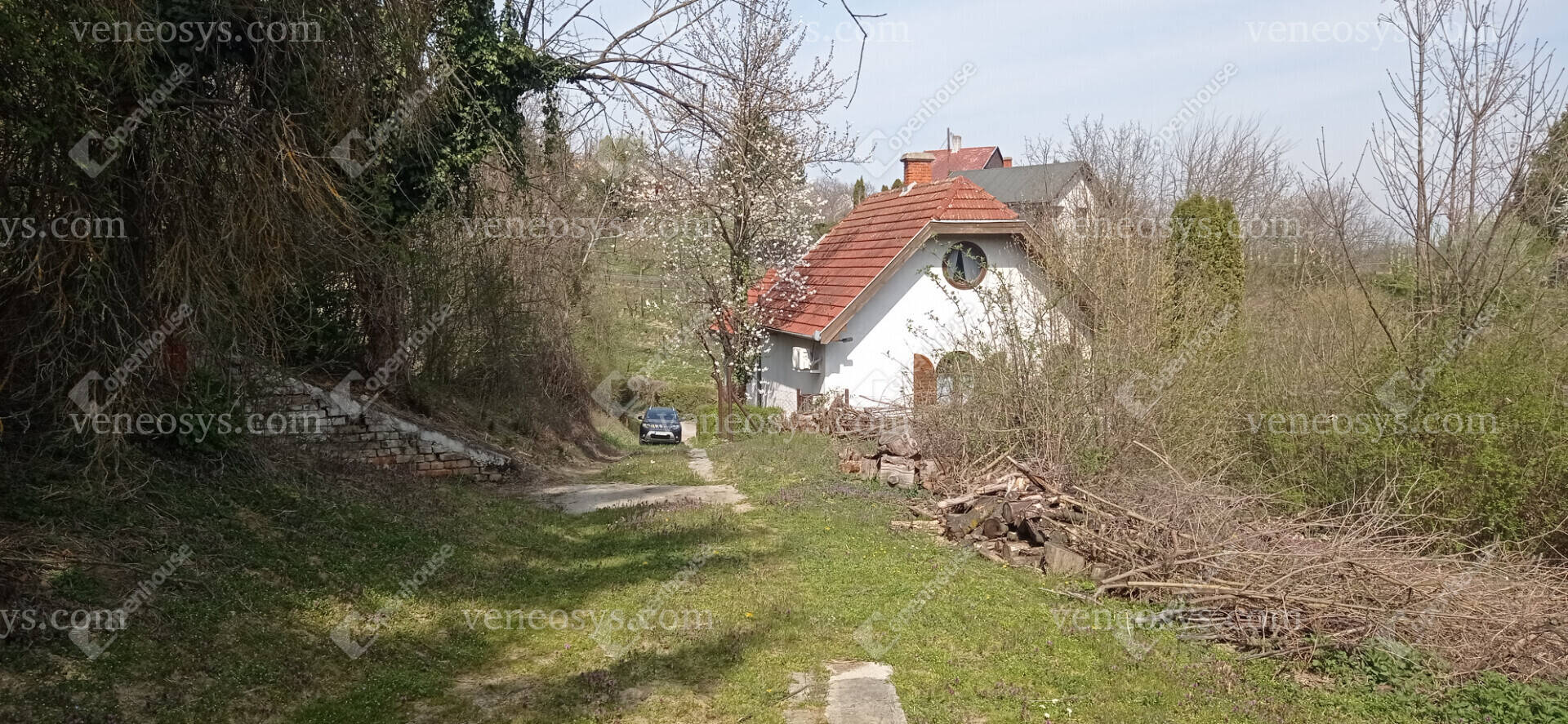 Kép 9