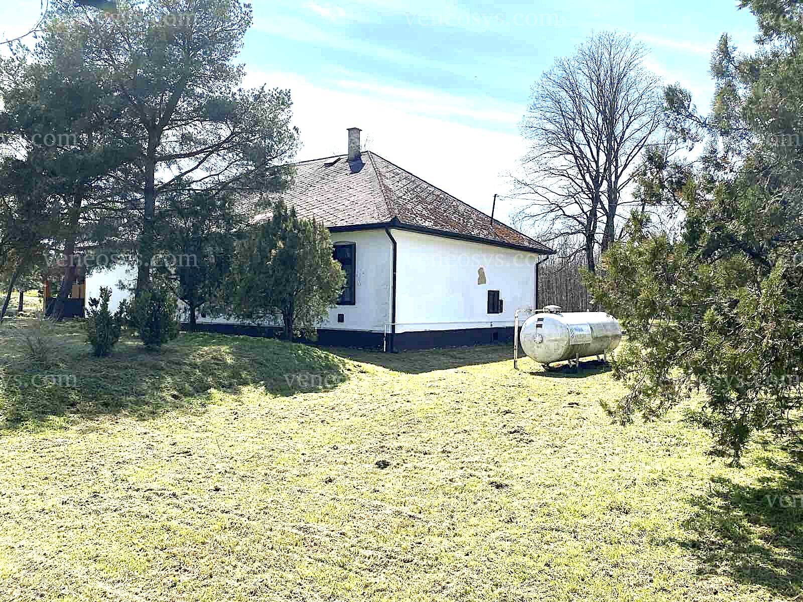 Kép 3