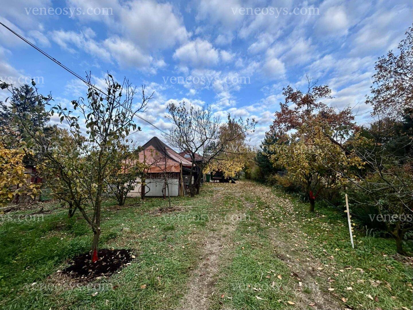 Kép 24