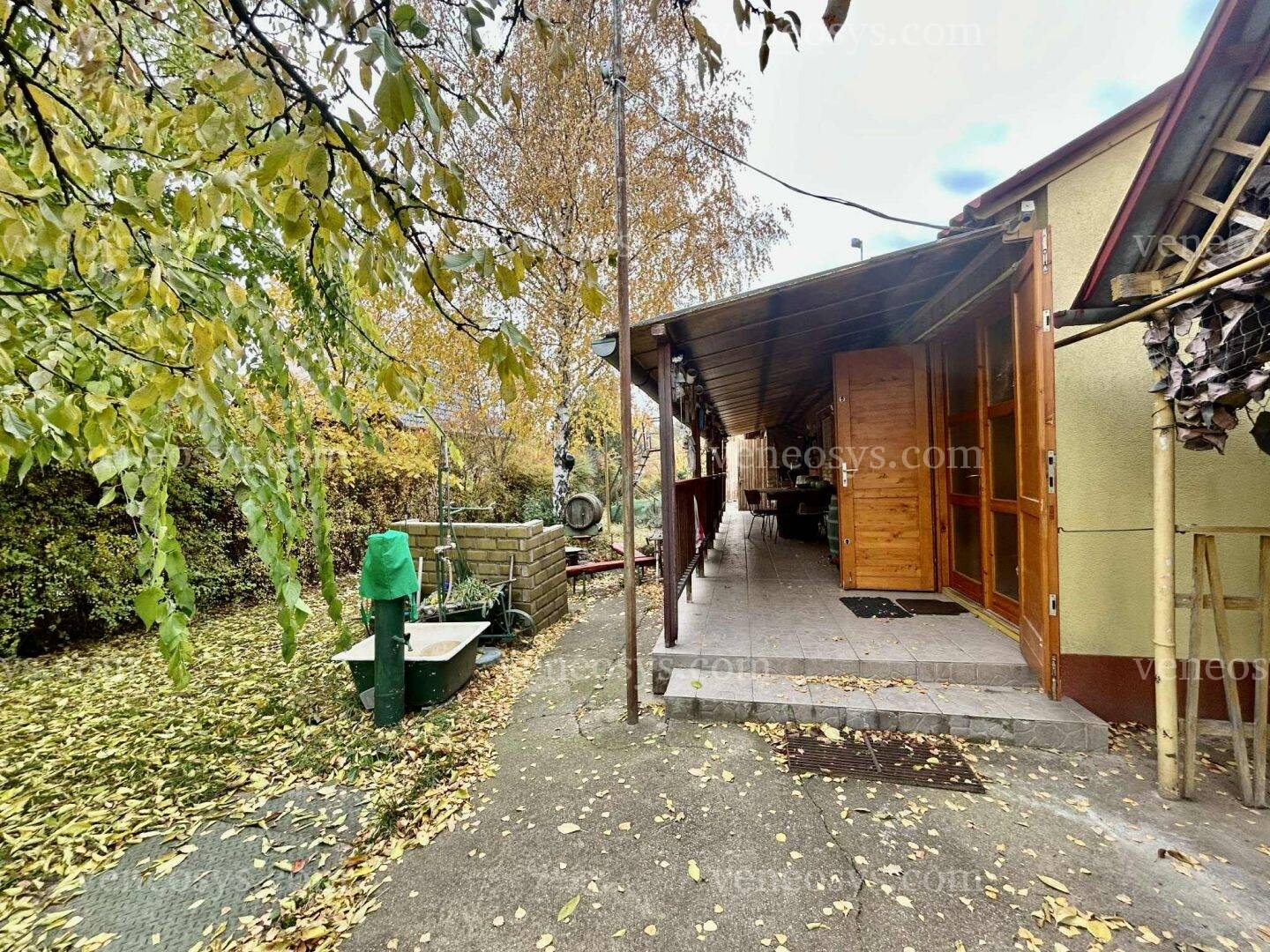 Kép 15