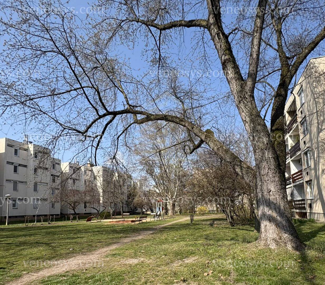 Kép 21