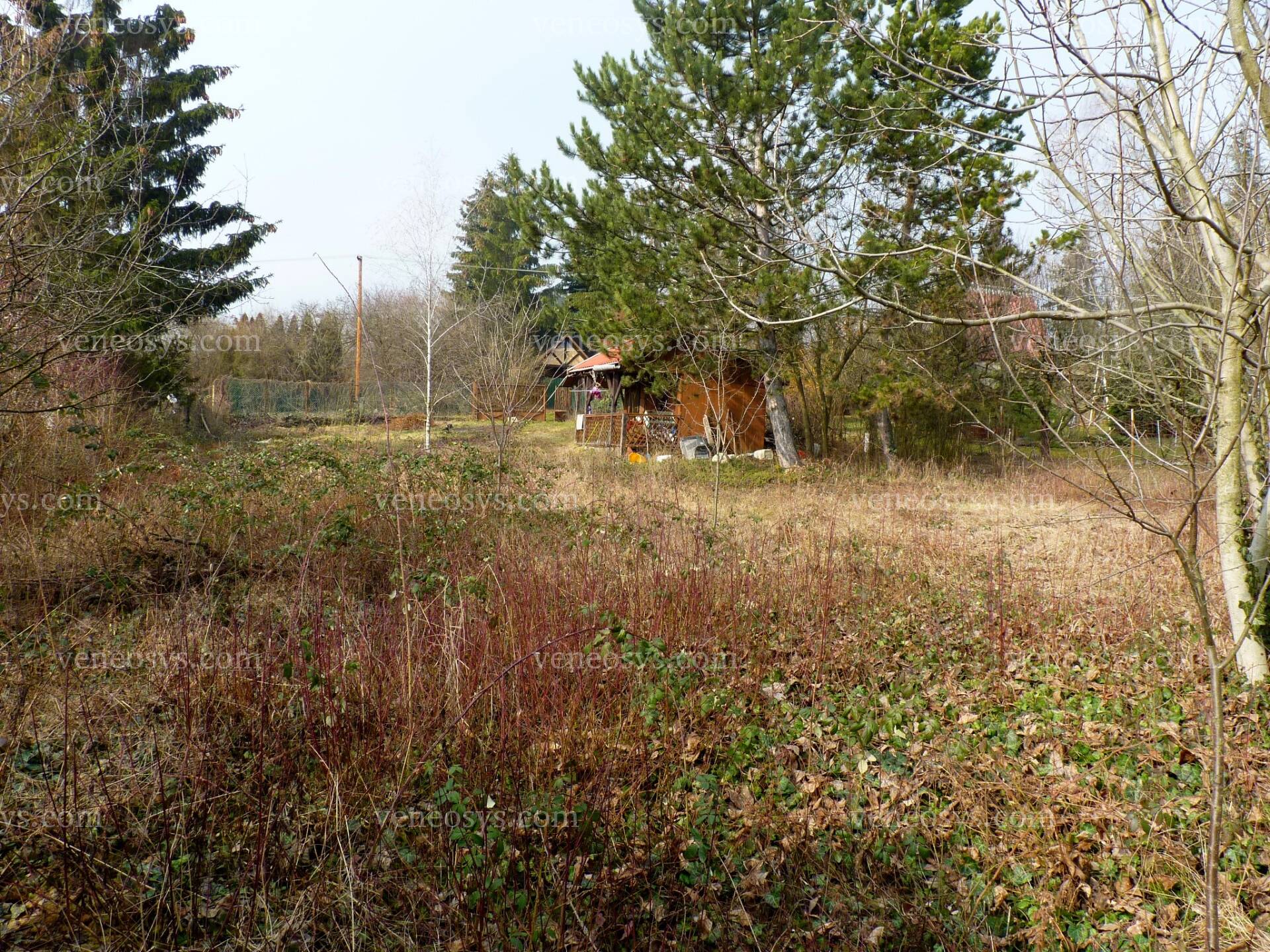 Kép 13