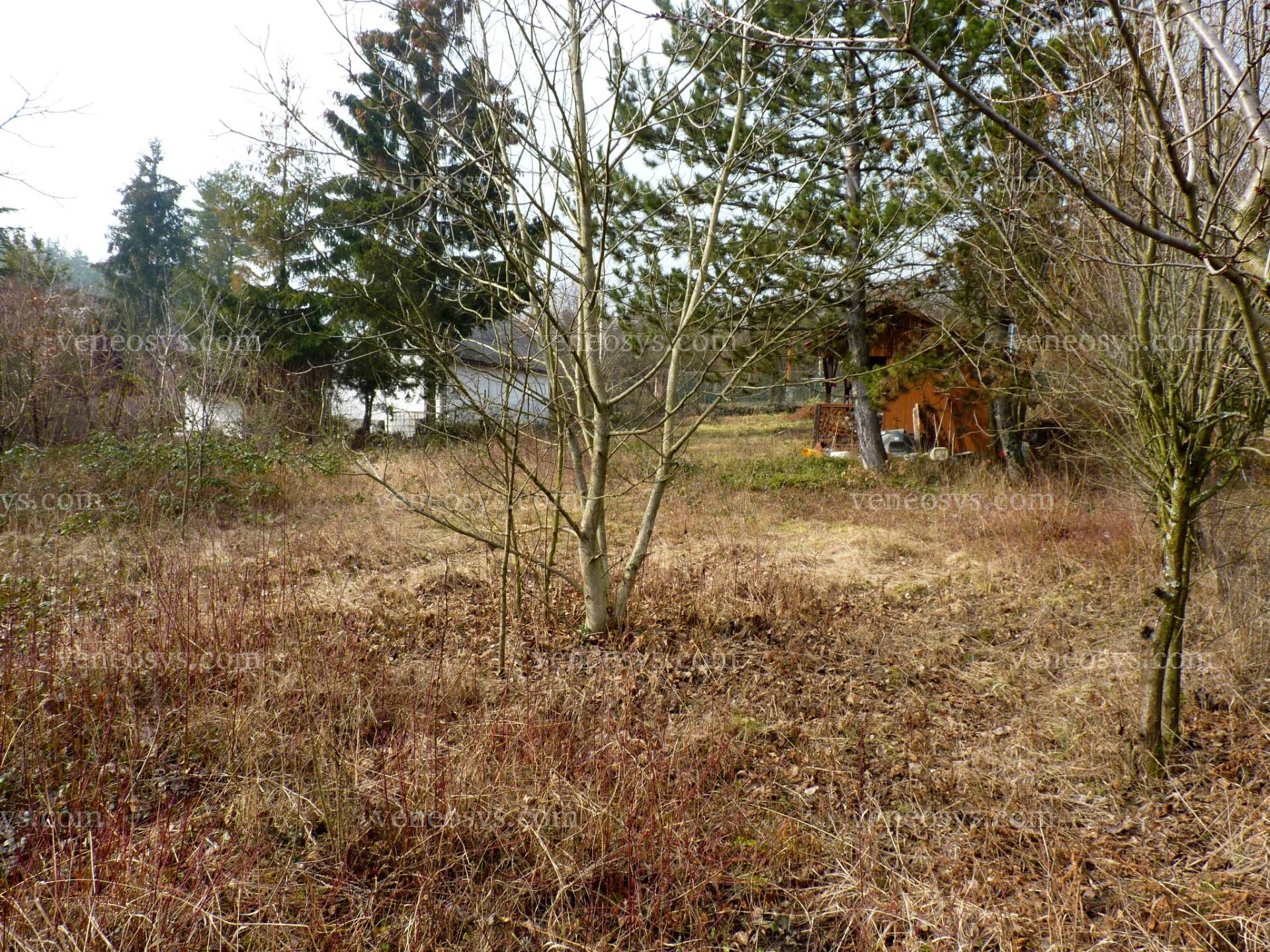 Kép 5